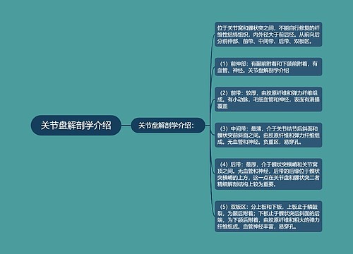 关节盘解剖学介绍