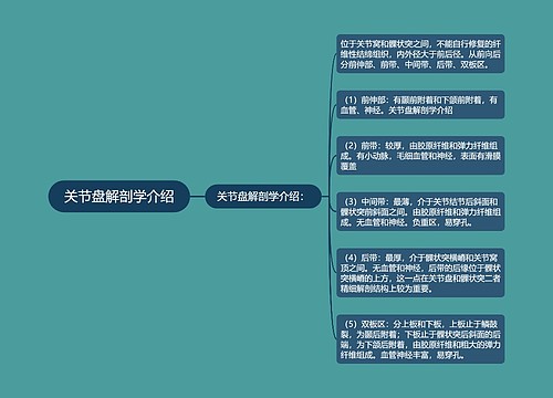 关节盘解剖学介绍