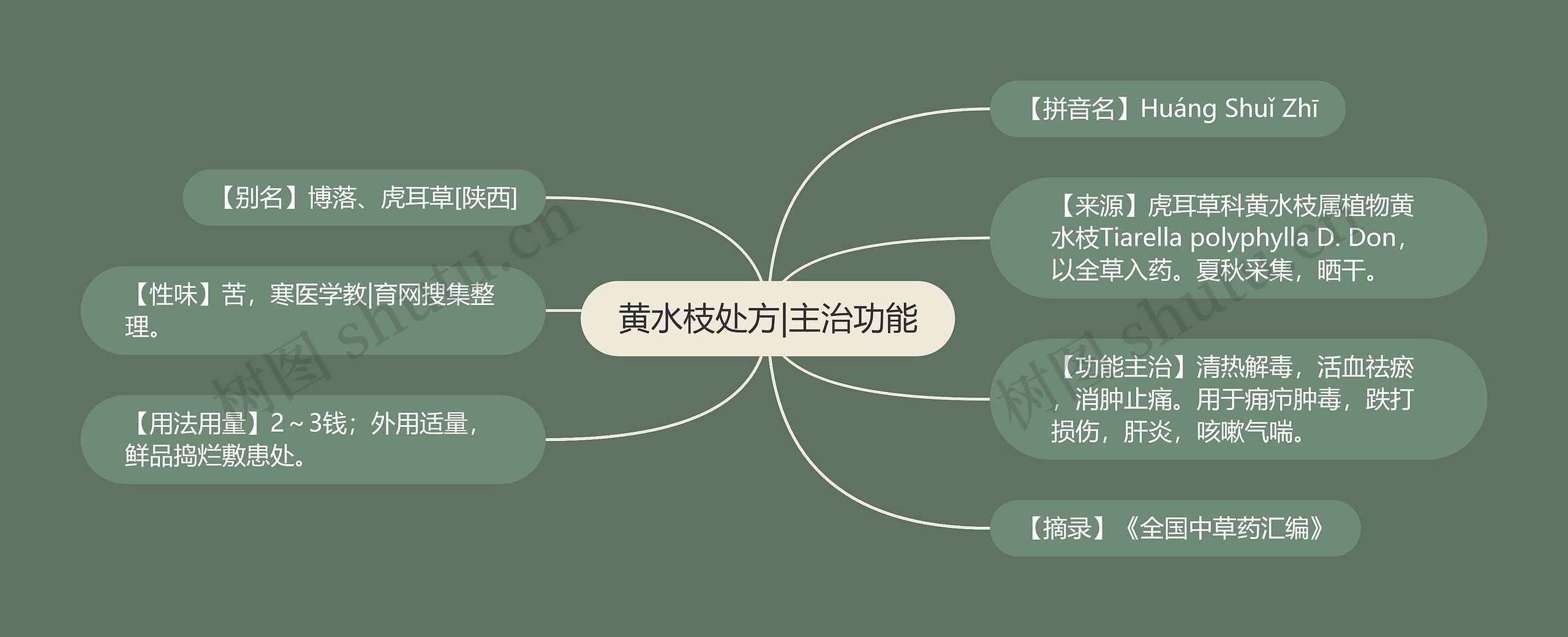黄水枝处方|主治功能