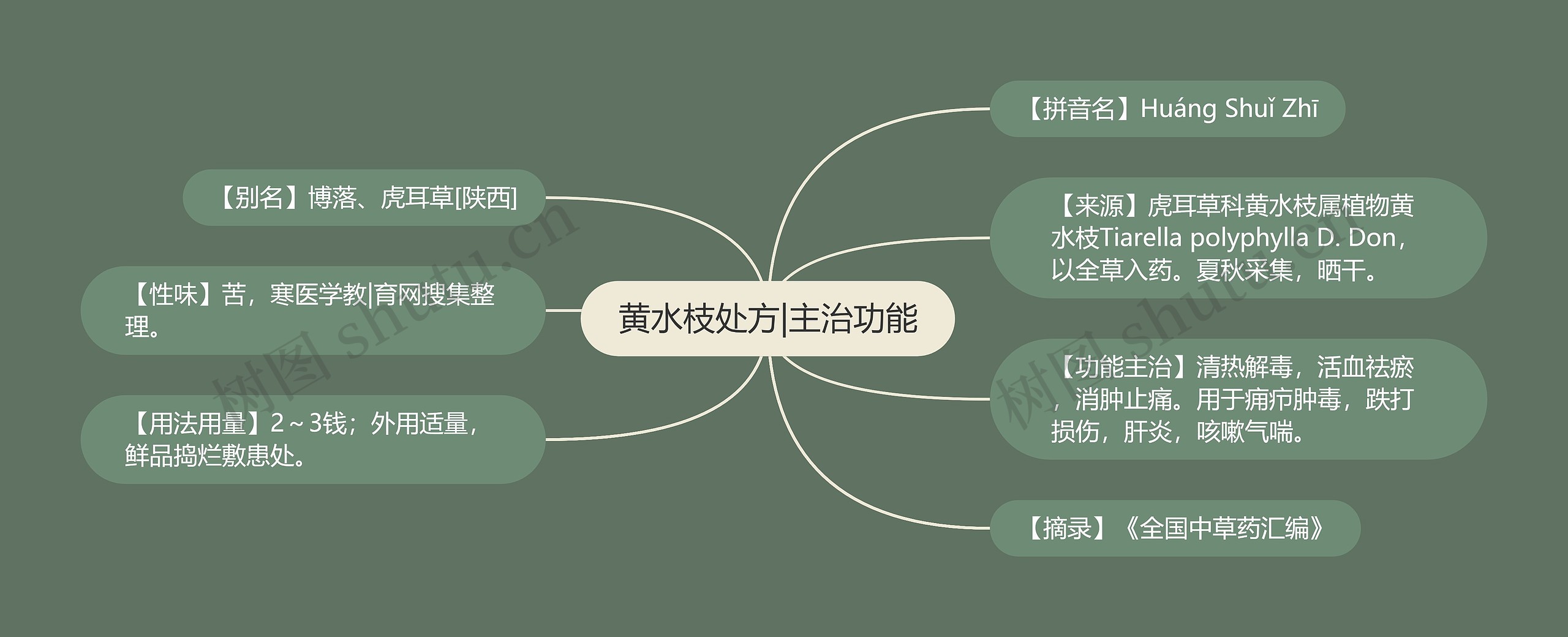 黄水枝处方|主治功能思维导图