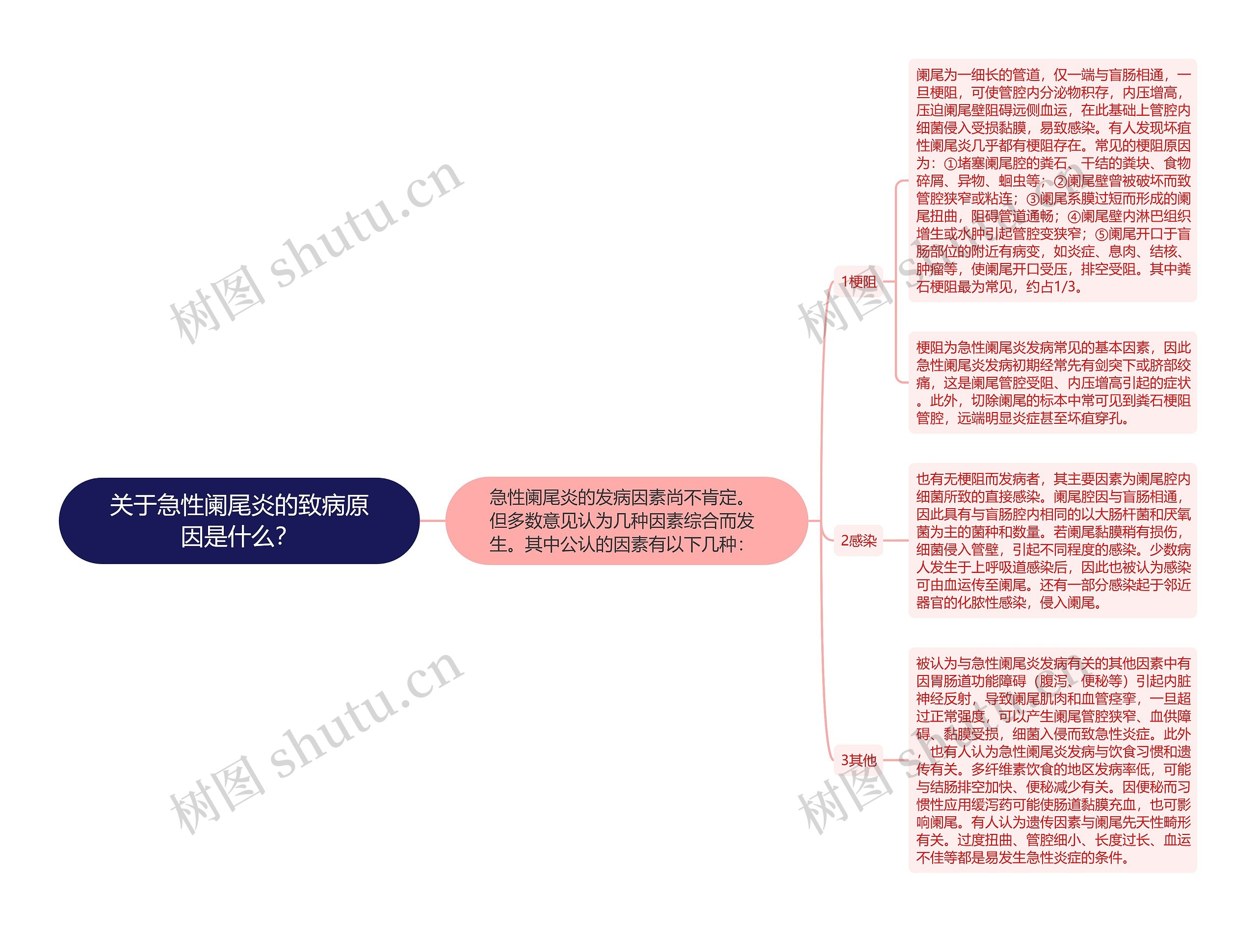 关于急性阑尾炎的致病原因是什么？