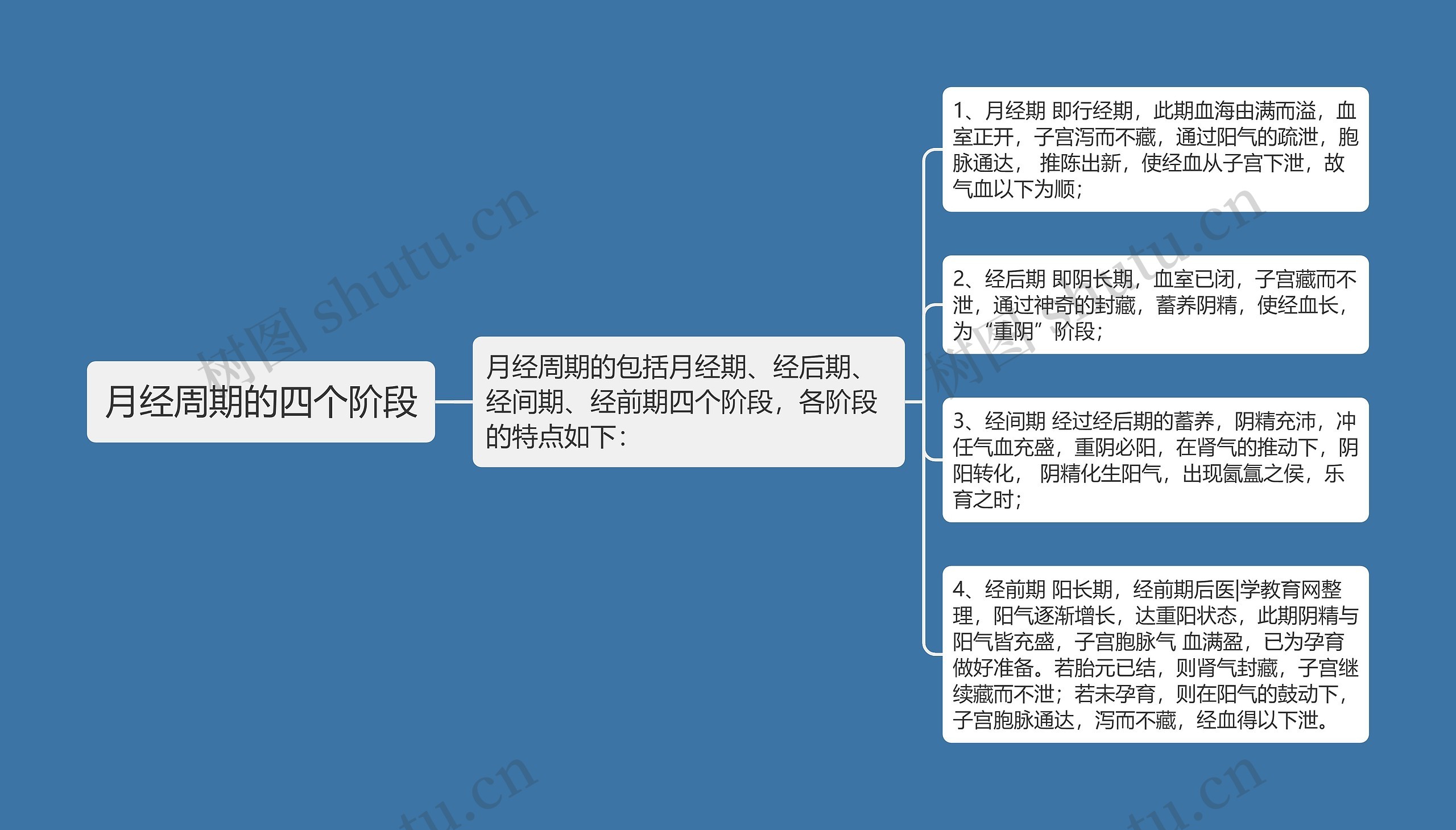 月经周期的四个阶段 月经周期的四个阶段