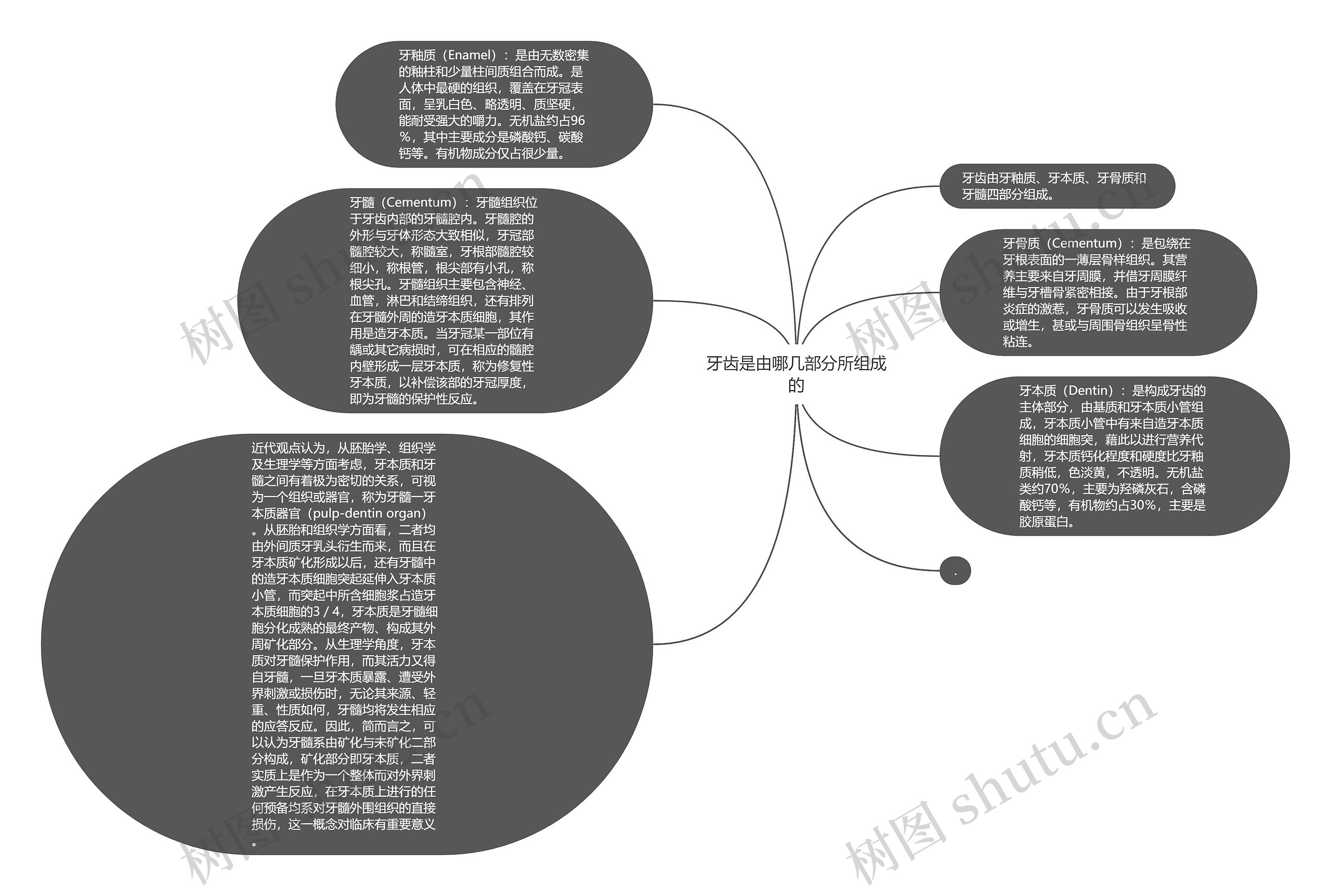 牙齿是由哪几部分所组成的思维导图