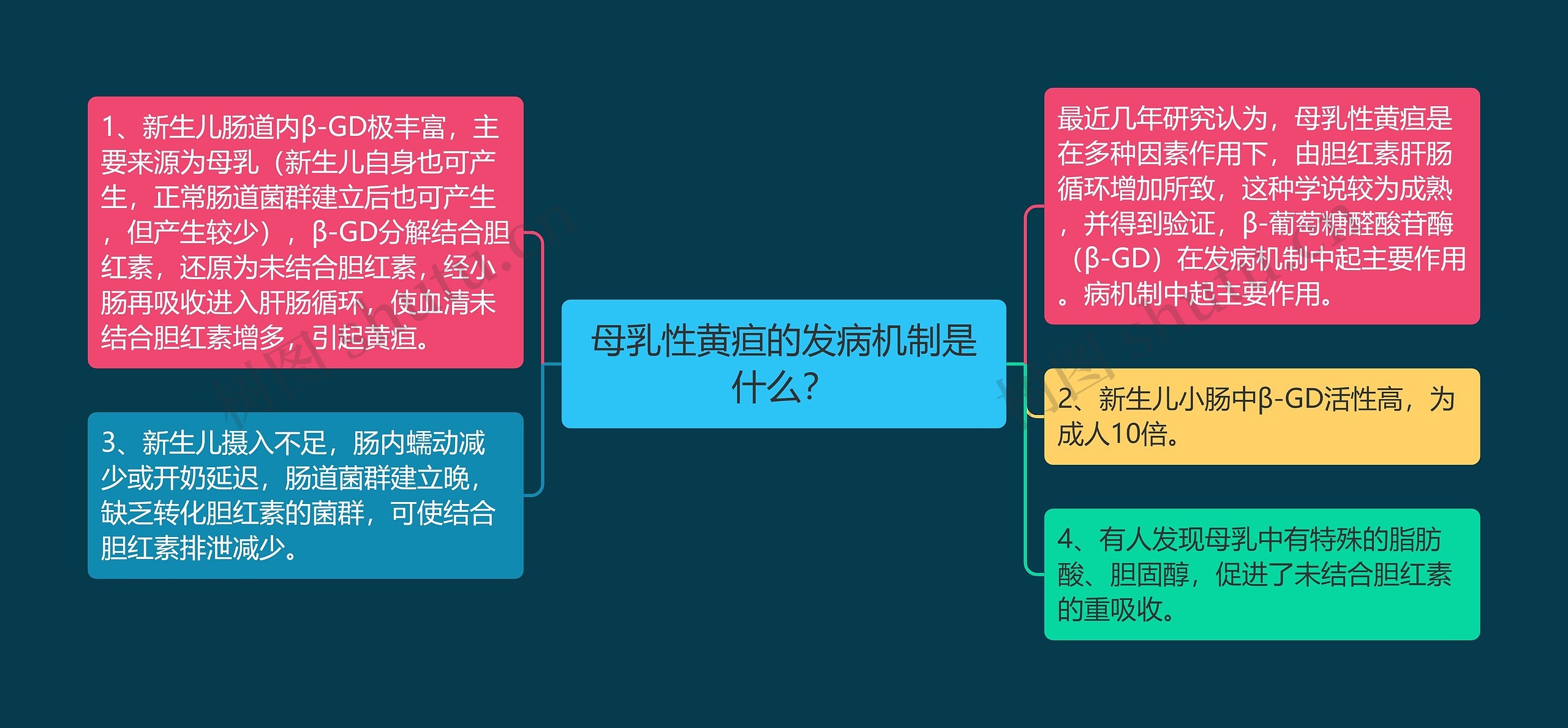 母乳性黄疸的发病机制是什么？