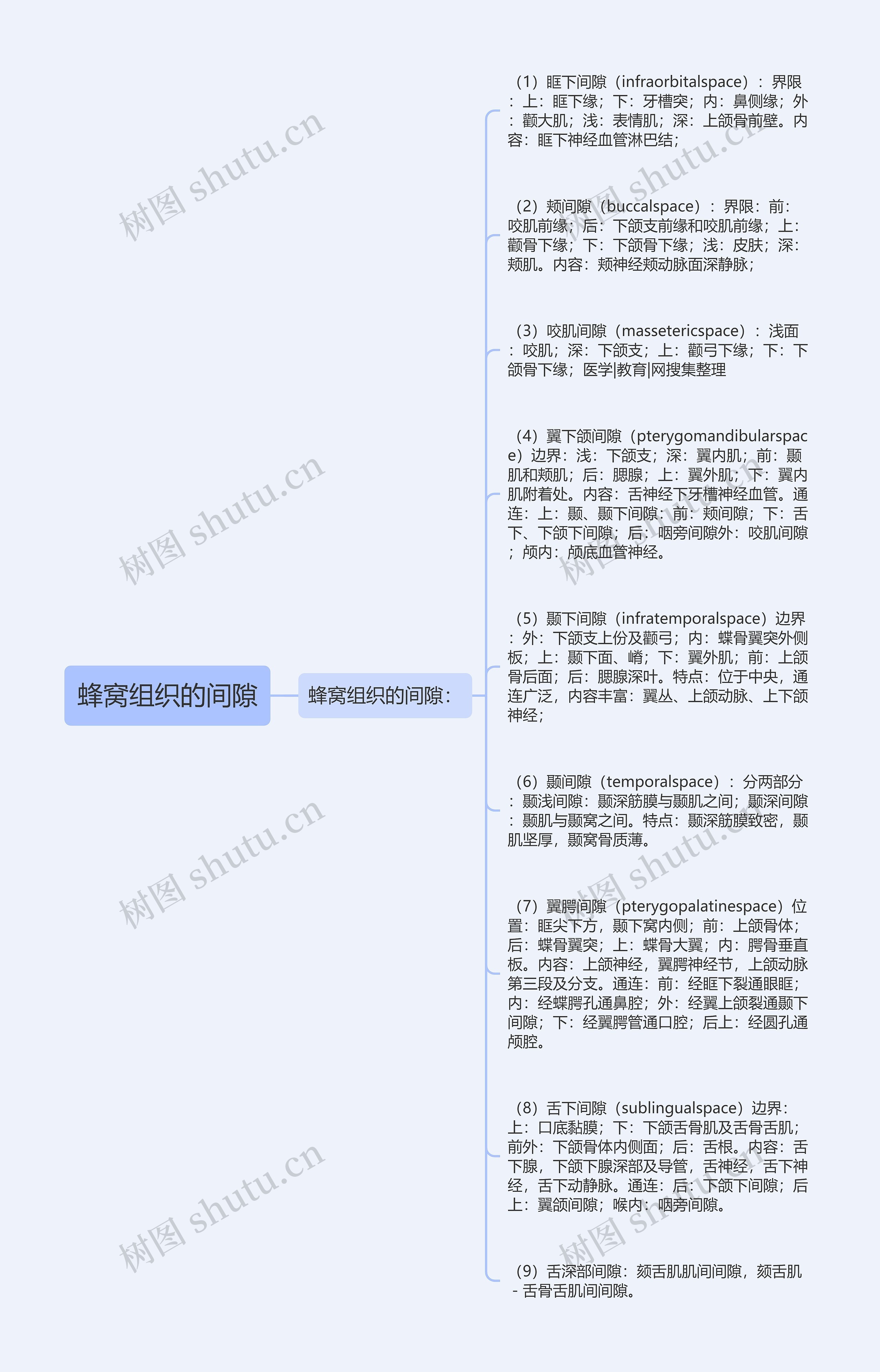 蜂窝组织的间隙思维导图