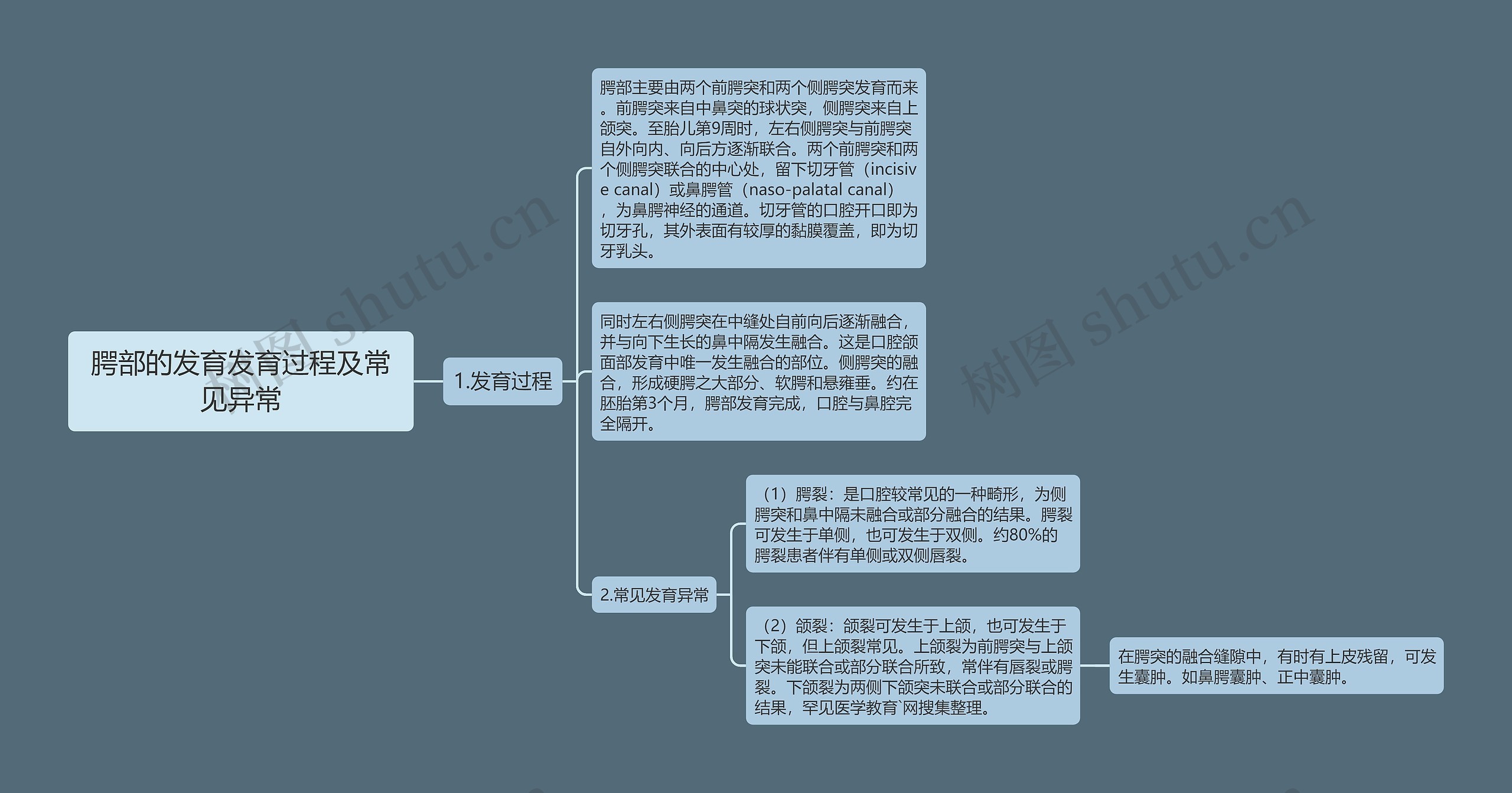 腭部的发育发育过程及常见异常