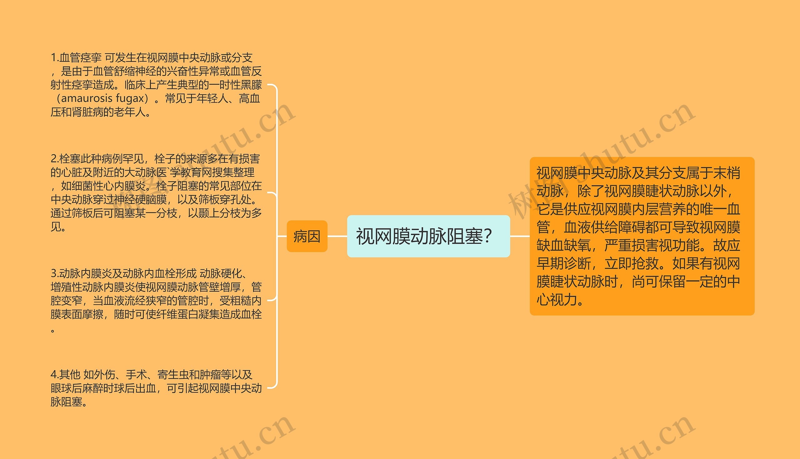 视网膜动脉阻塞？思维导图