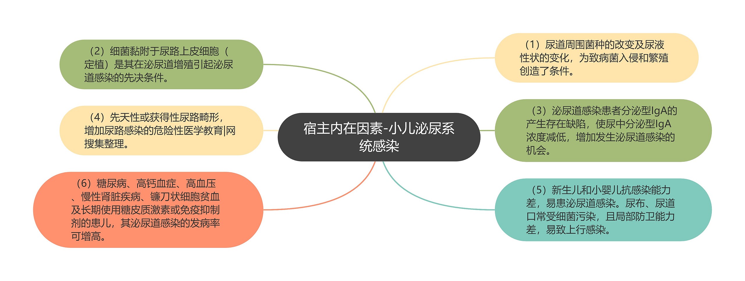 宿主内在因素-小儿泌尿系统感染 宿主内在因素-小儿泌尿系统感染