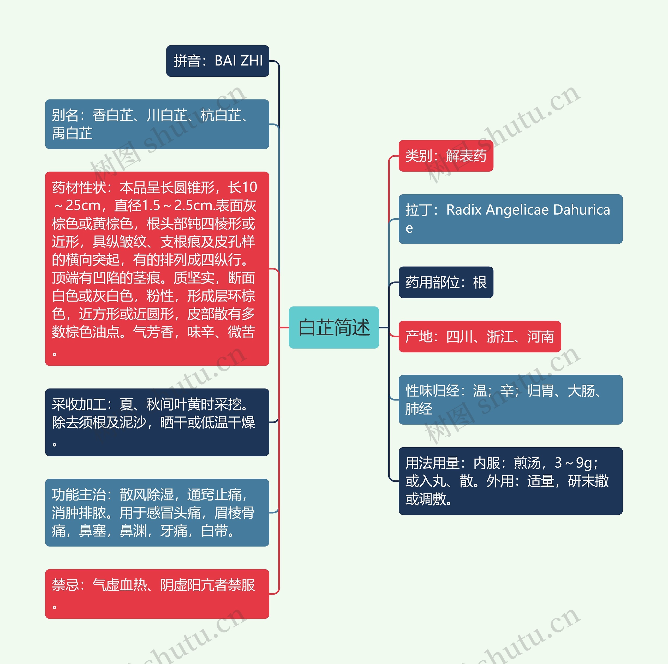 白芷简述思维导图