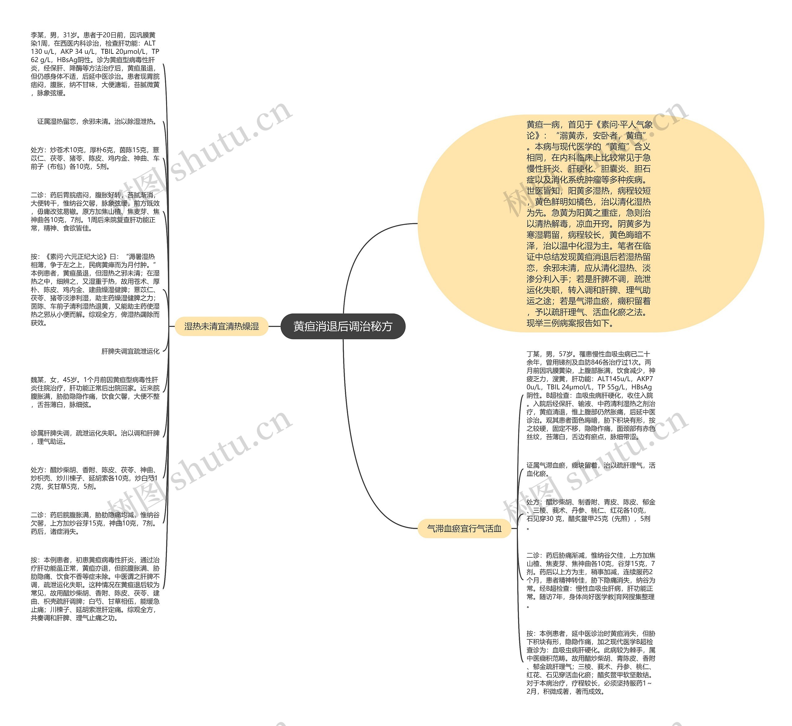 黄疸消退后调治秘方思维导图