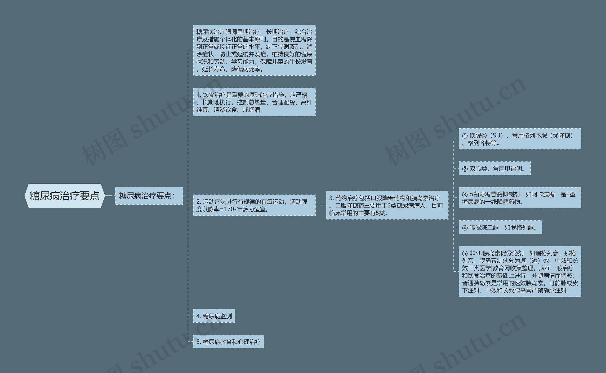 糖尿病治疗要点