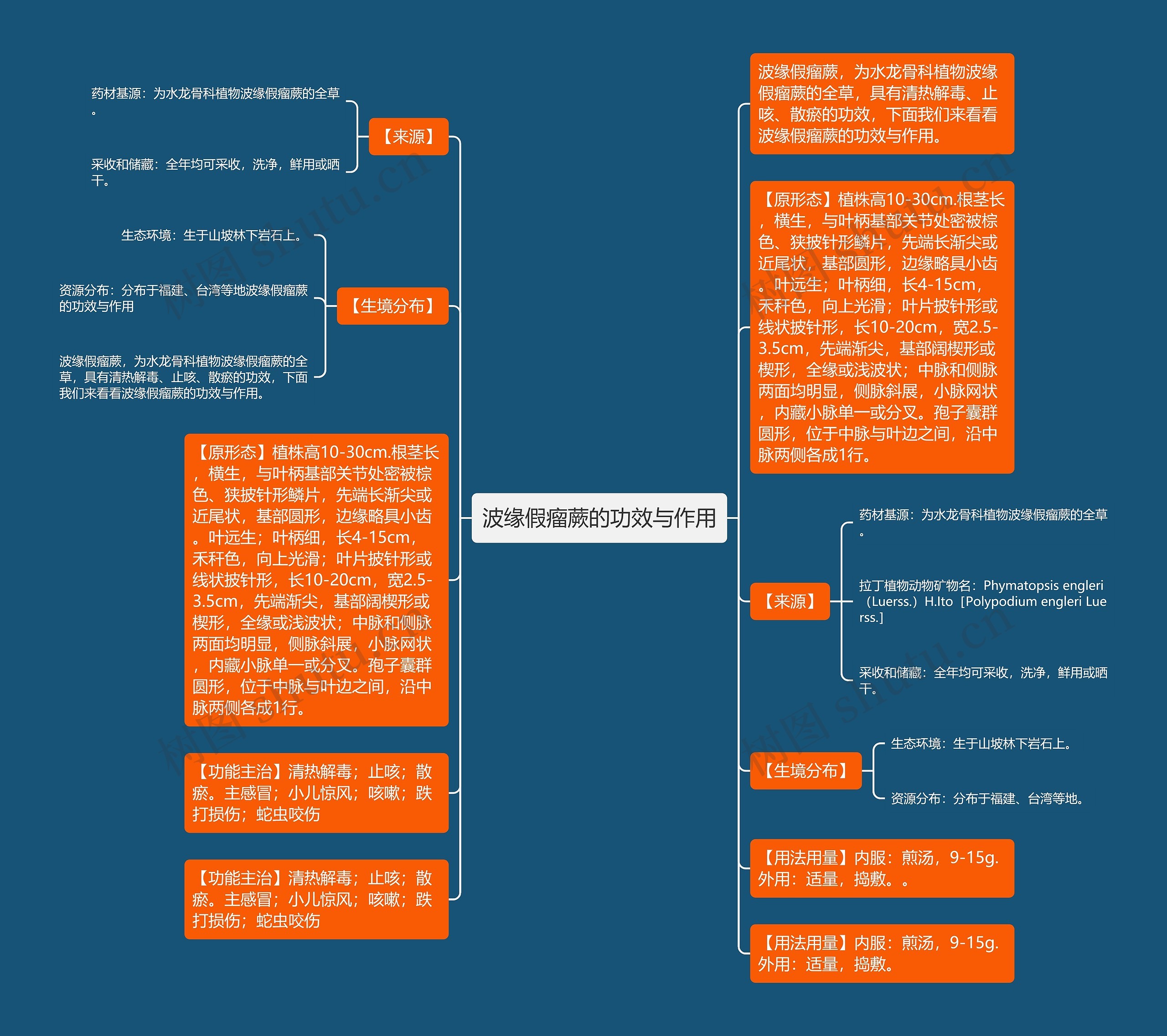 波缘假瘤蕨的功效与作用思维导图