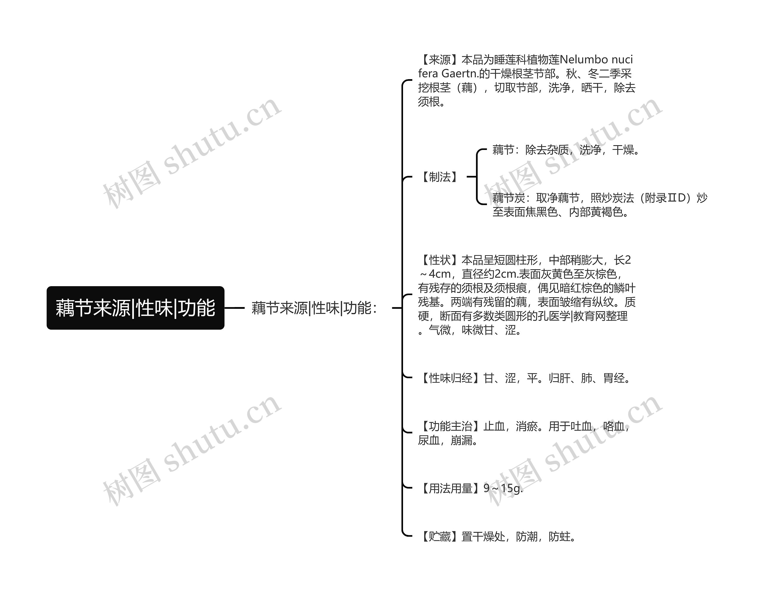 藕节来源|性味|功能思维导图