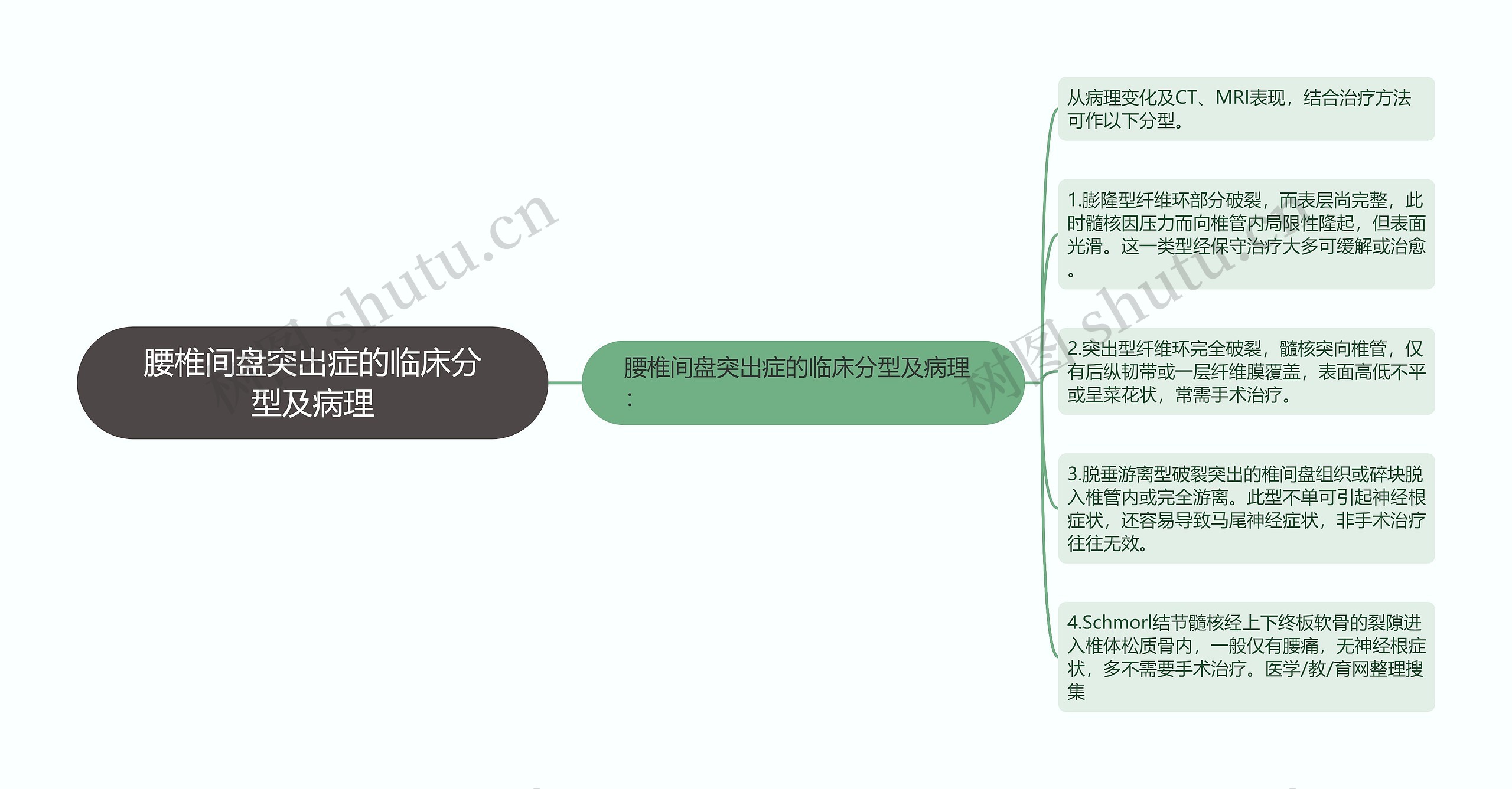 腰椎间盘突出症的临床分型及病理