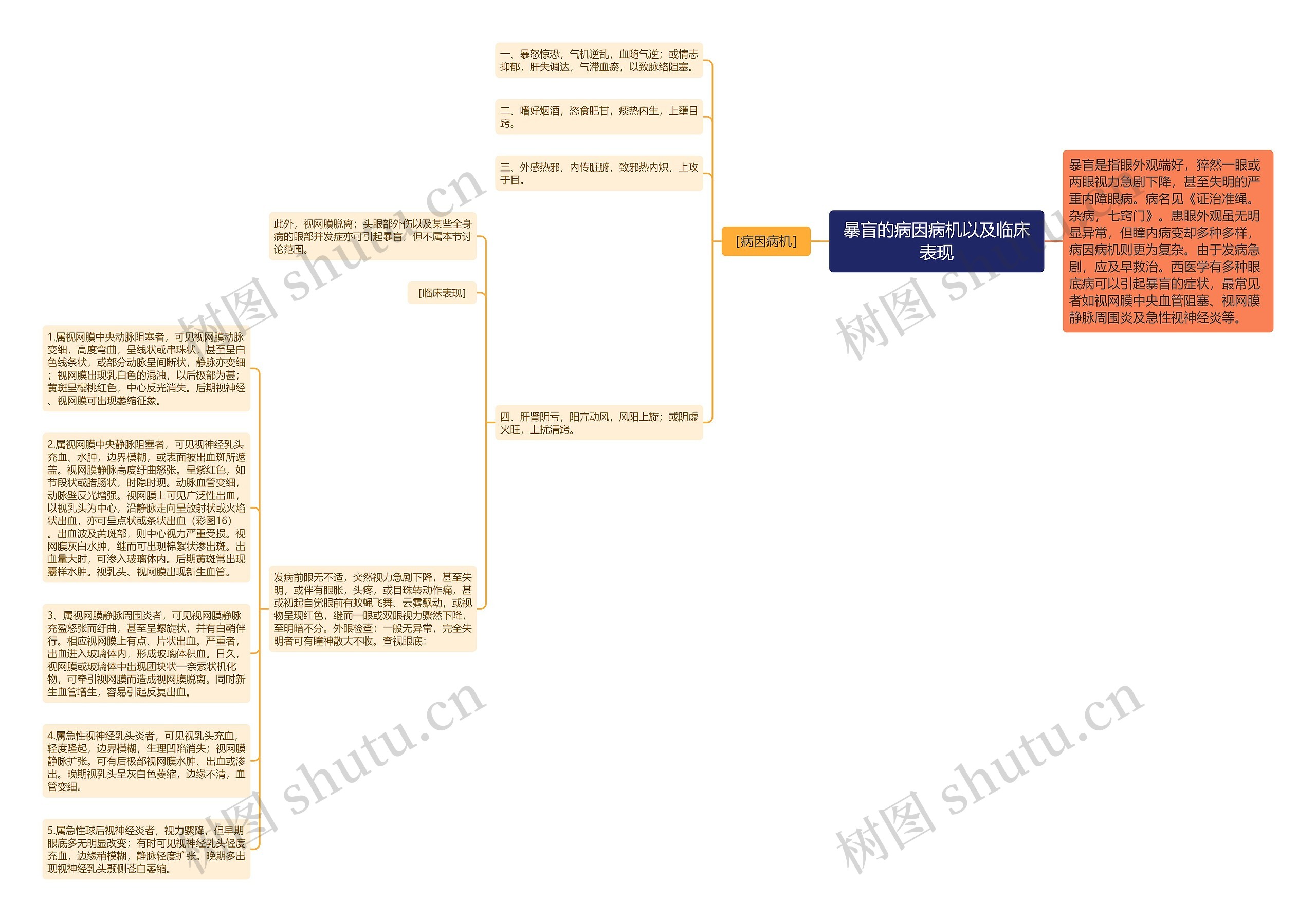 暴盲的病因病机以及临床表现思维导图