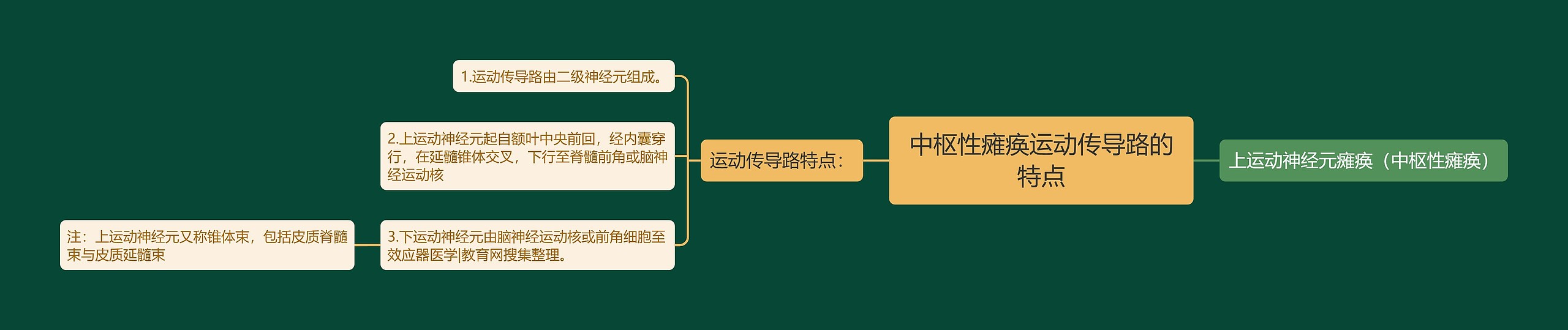 中枢性瘫痪运动传导路的特点思维导图