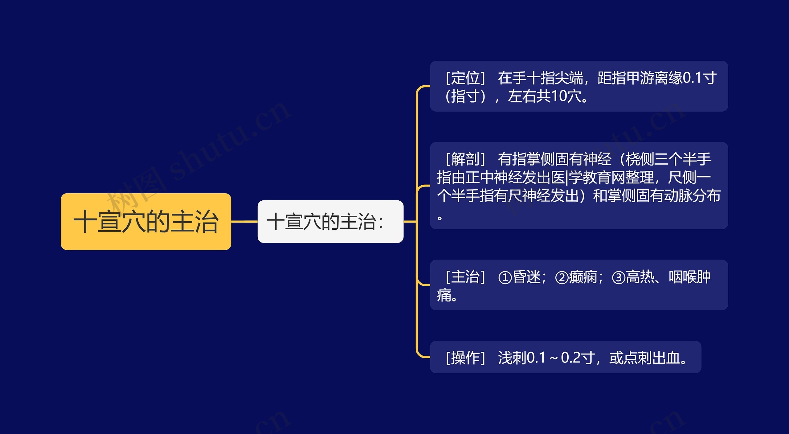 十宣穴的主治思维导图