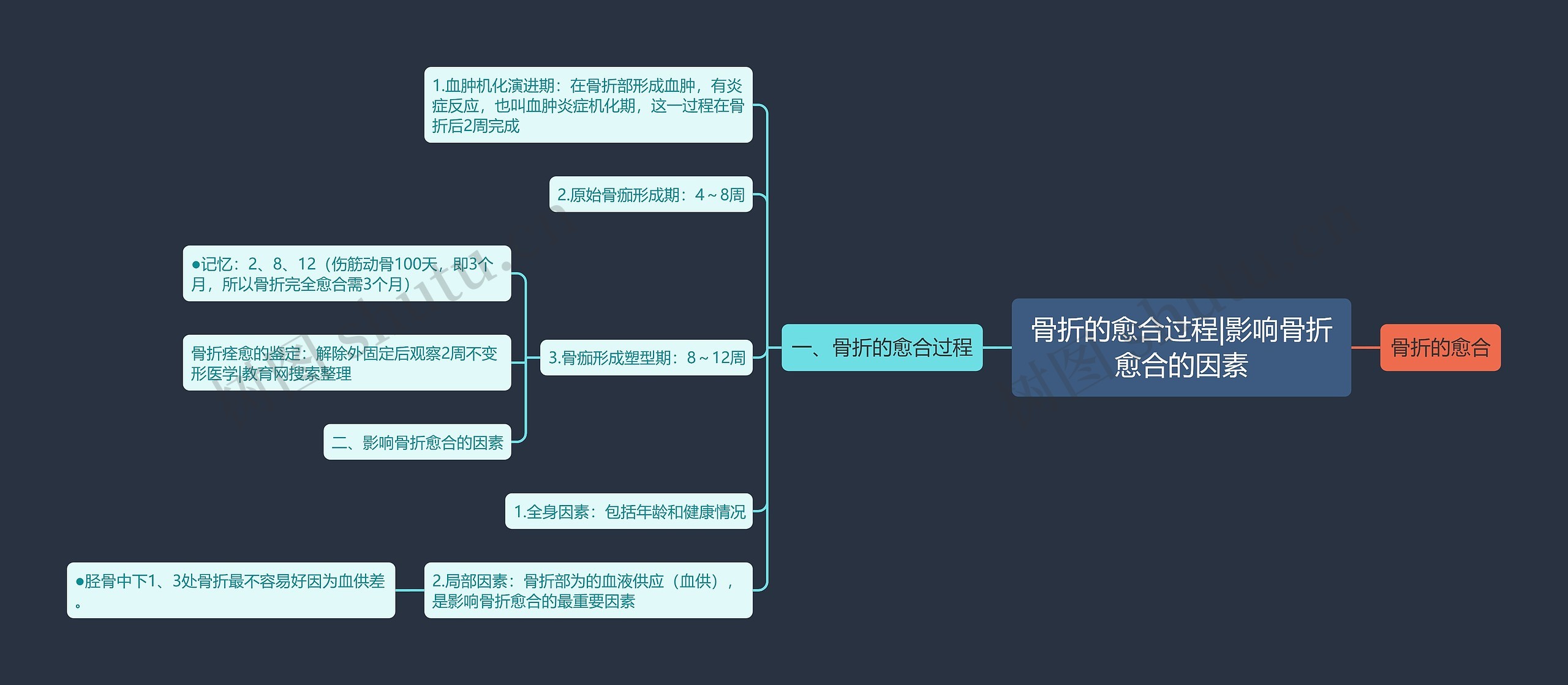 骨折的愈合过程|影响骨折愈合的因素思维导图