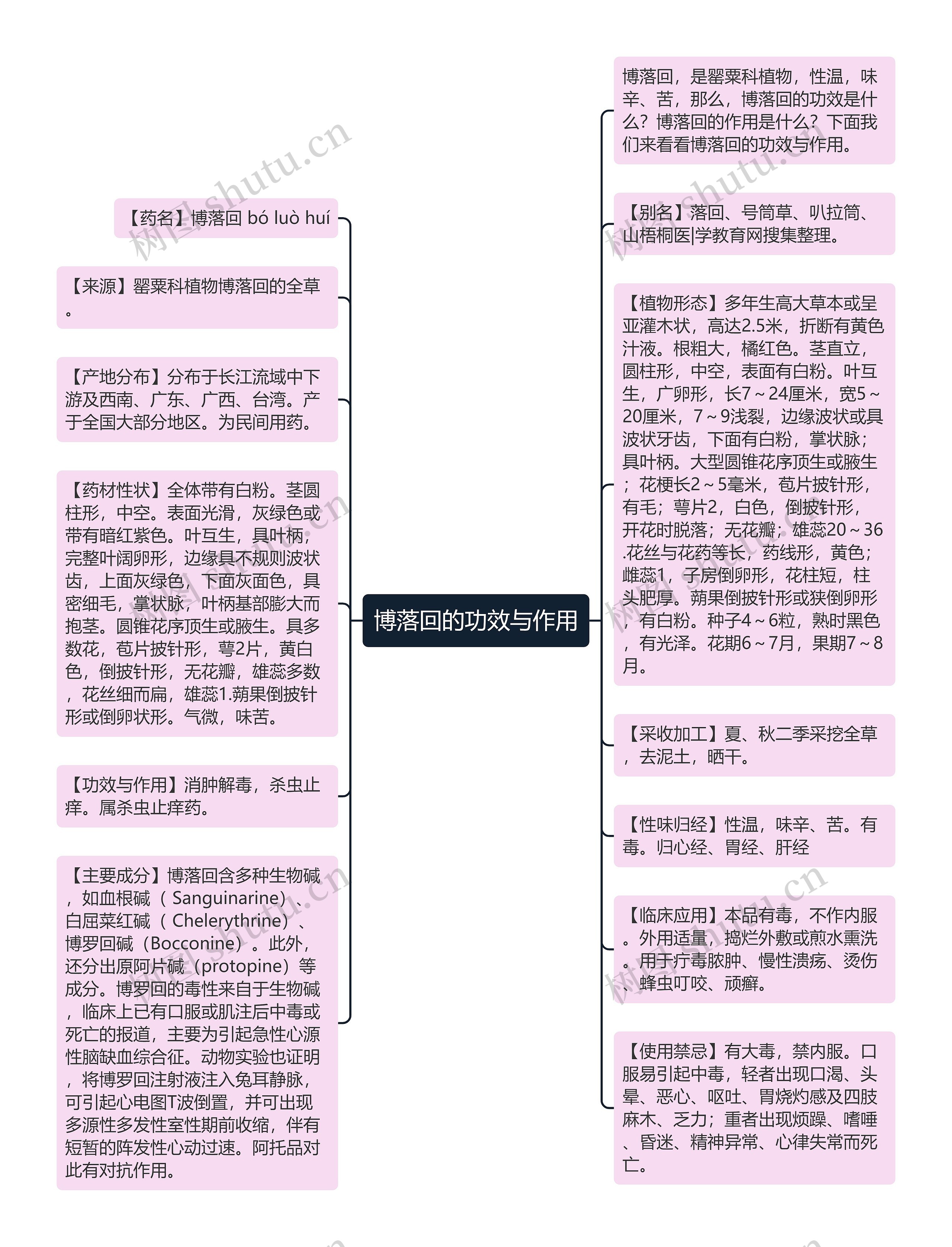 博落回的功效与作用思维导图