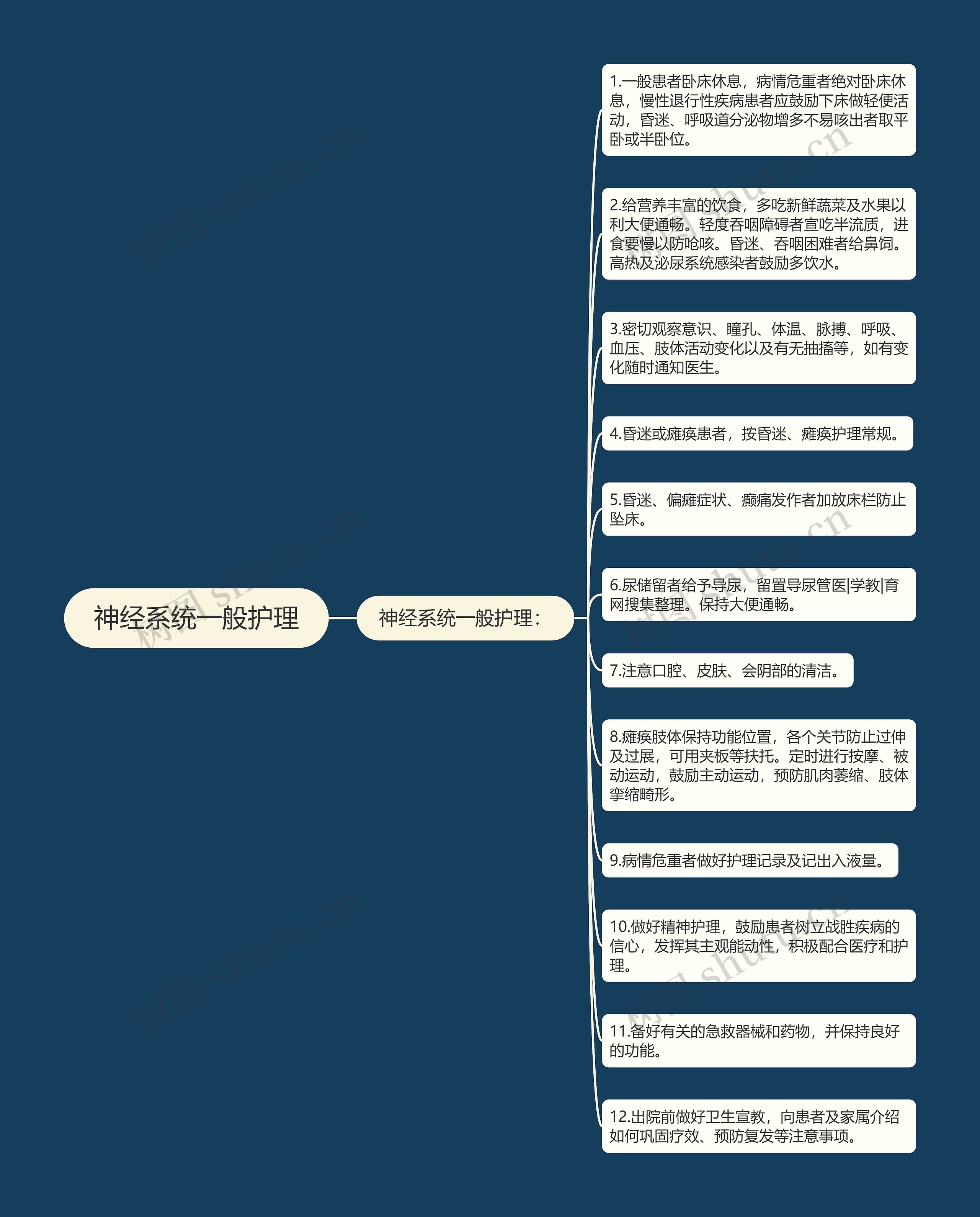 神经系统一般护理 神经系统一般护理