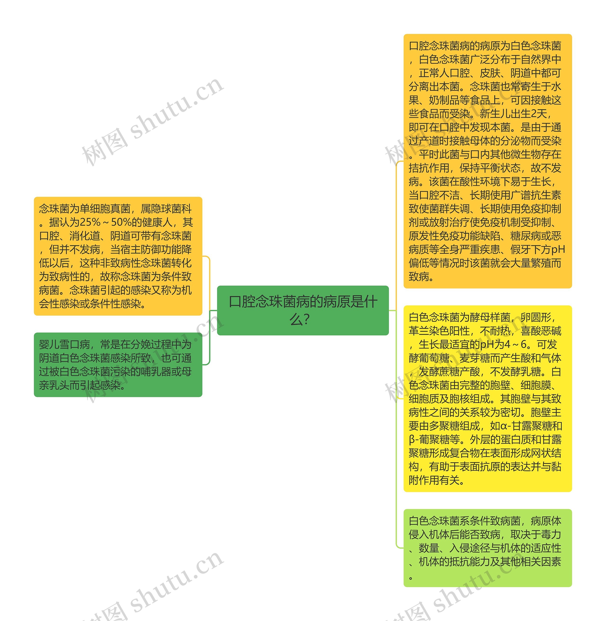 口腔念珠菌病的病原是什么？思维导图