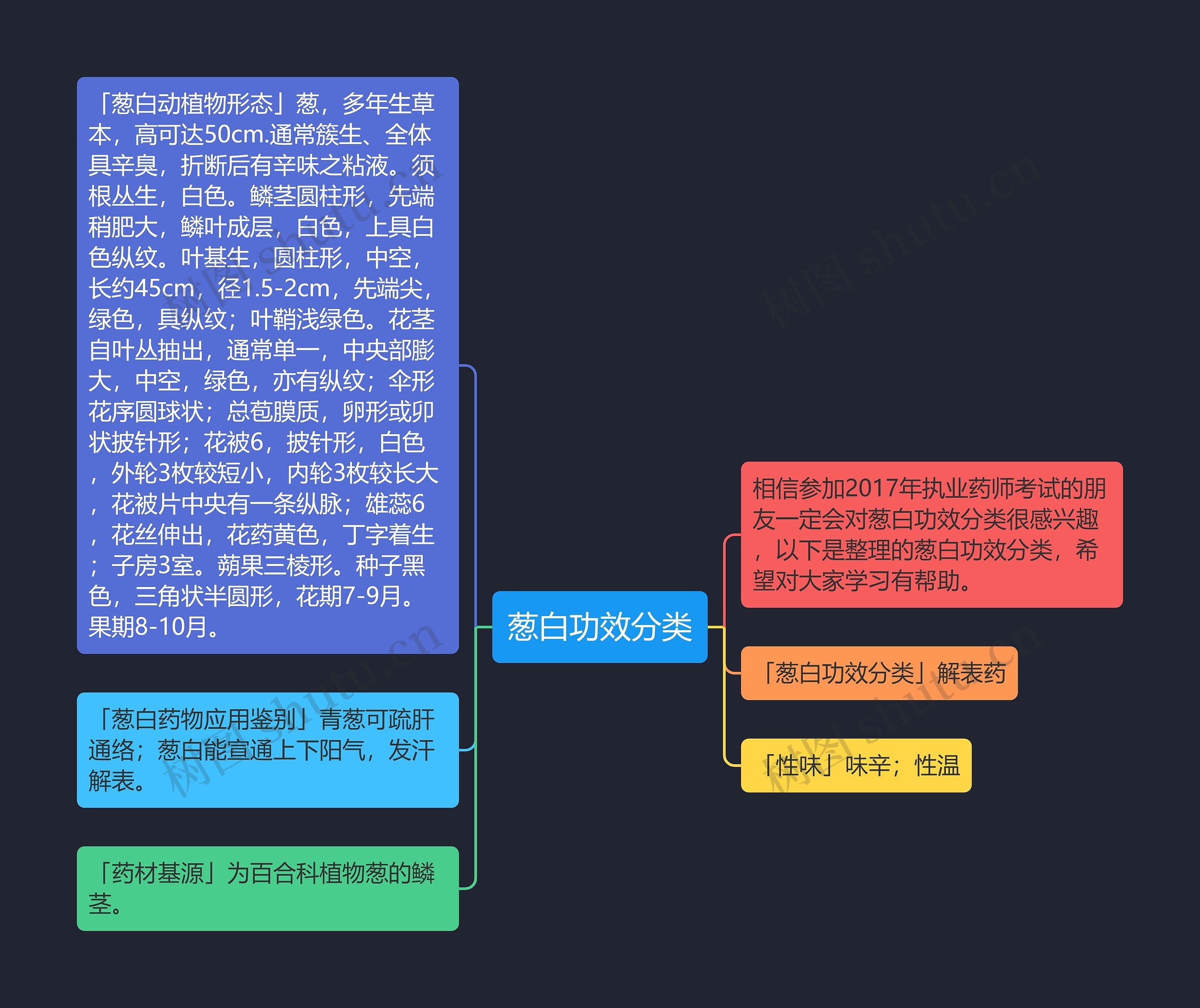 葱白功效分类思维导图