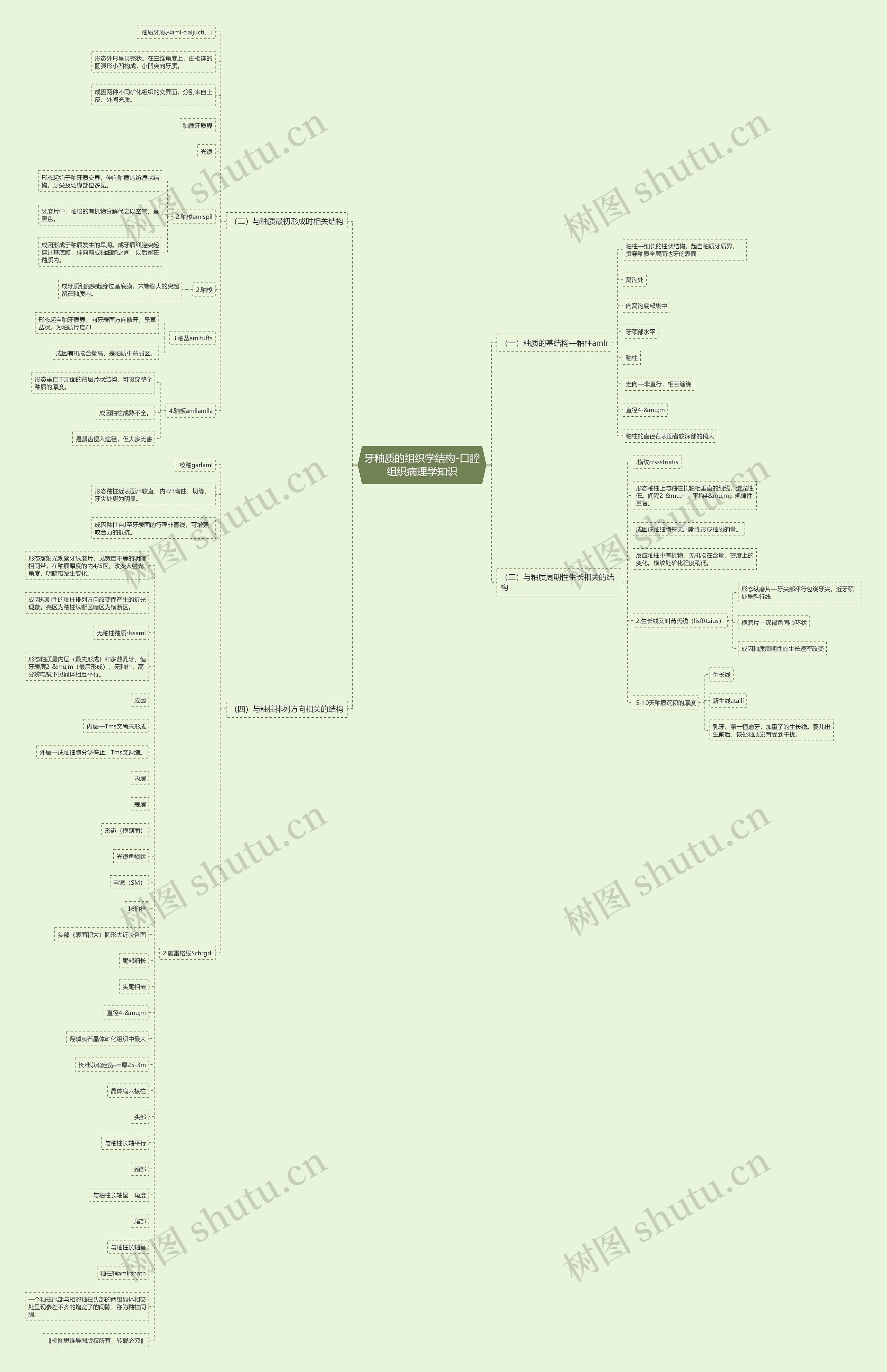 牙釉质的组织学结构-口腔组织病理学知识思维导图