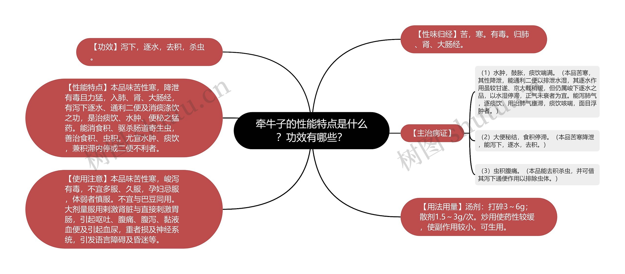 牵牛子的性能特点是什么？功效有哪些？思维导图