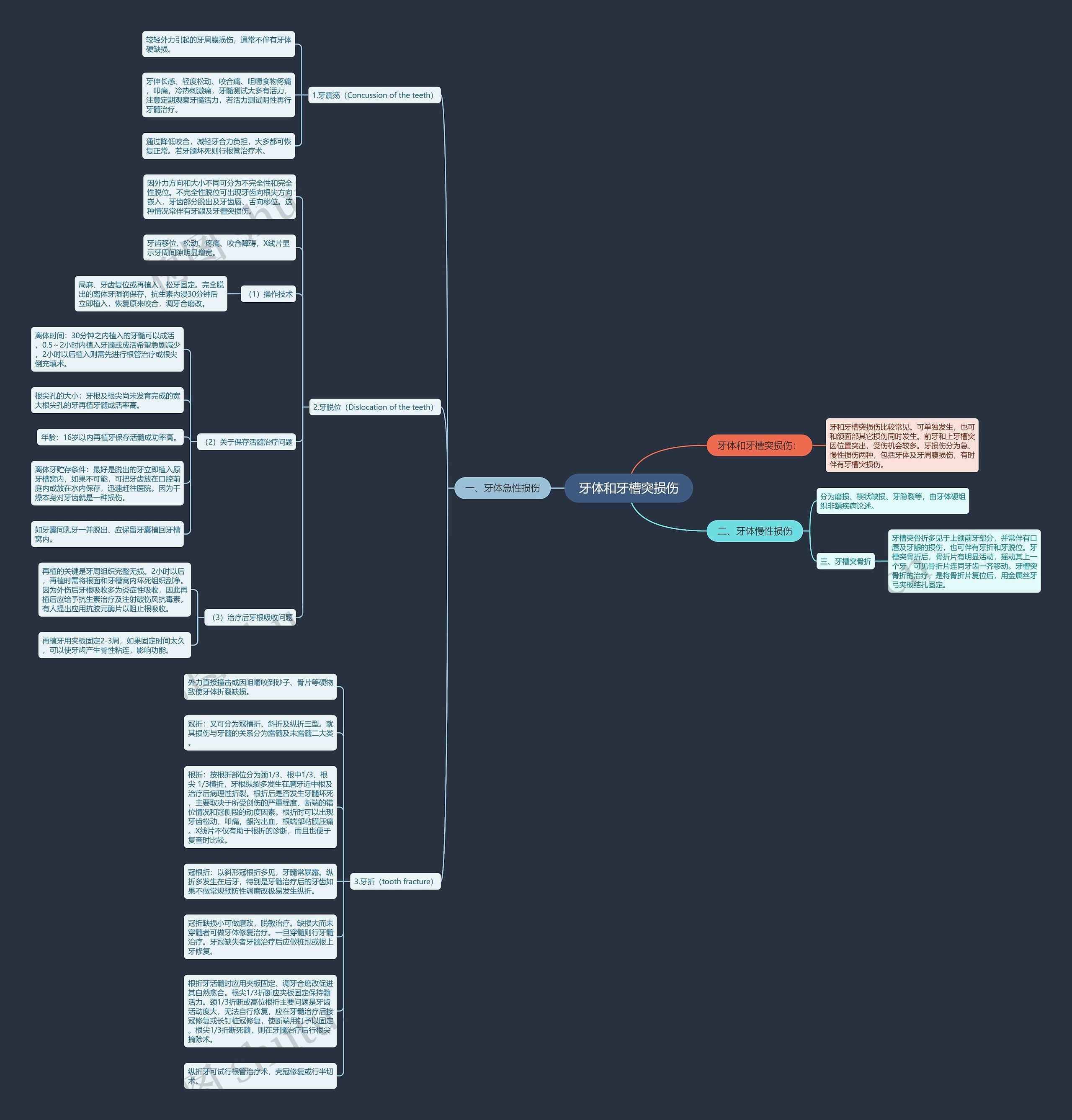牙体和牙槽突损伤 牙体和牙槽突损伤