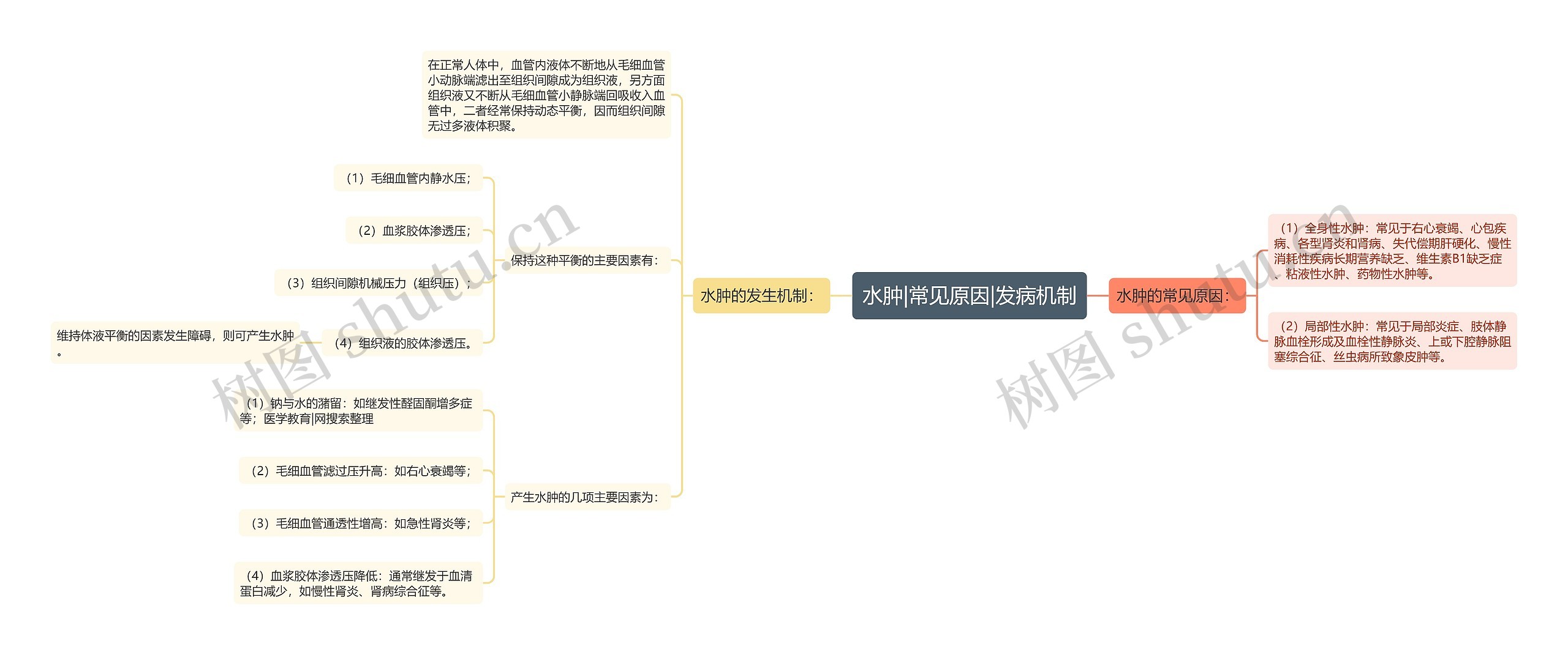 水肿|常见原因|发病机制思维导图