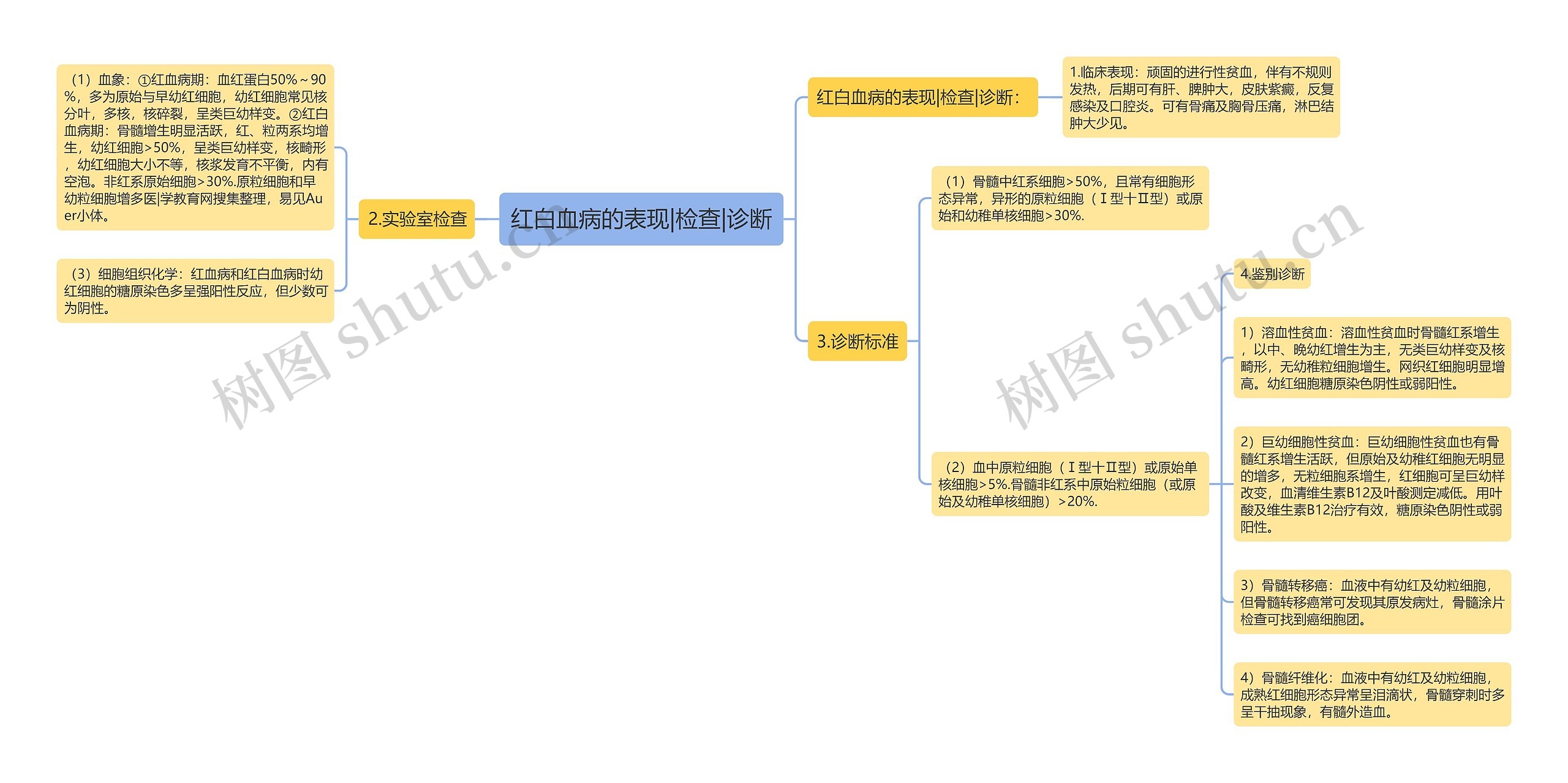 红白血病的表现|检查|诊断