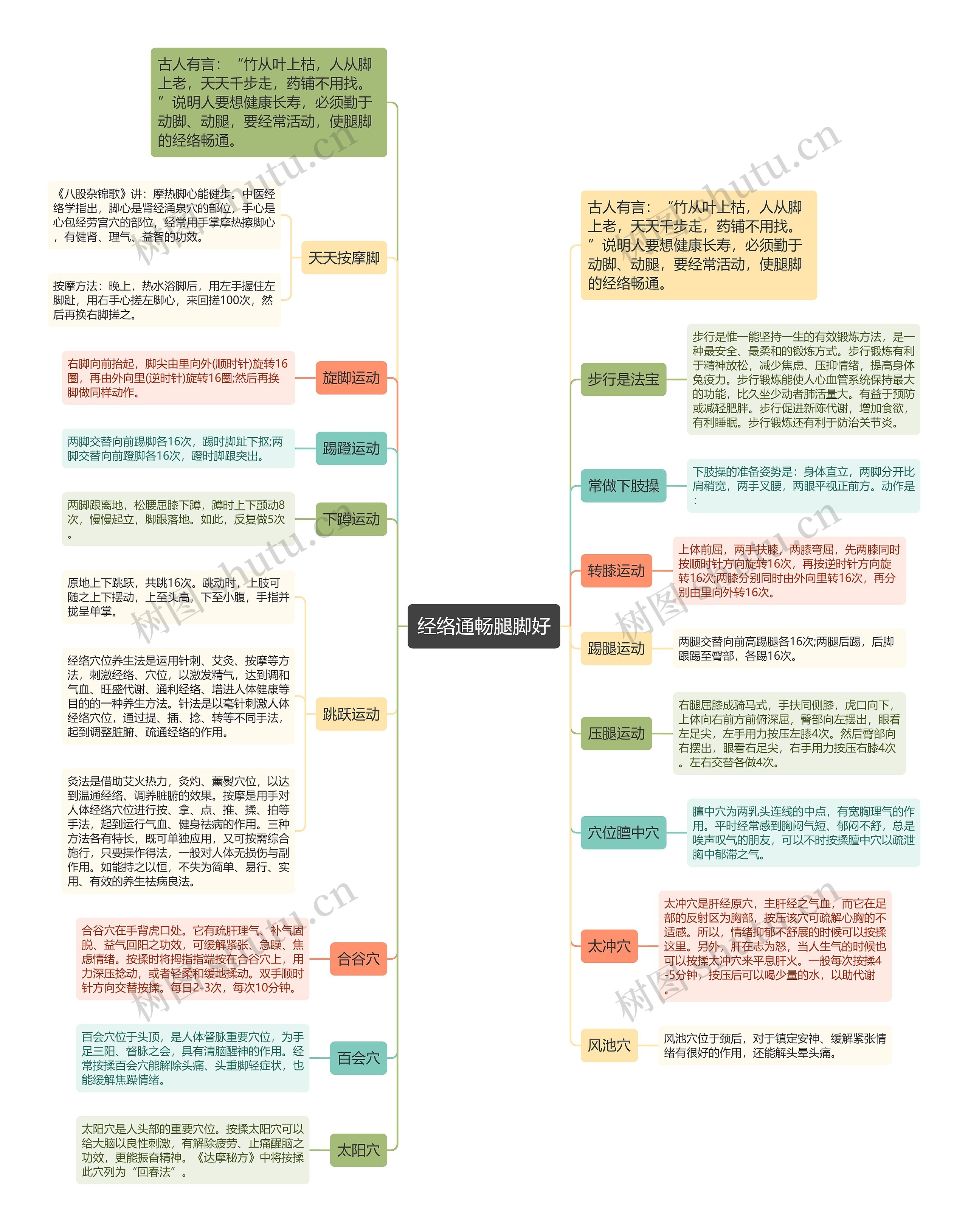 经络通畅腿脚好思维导图