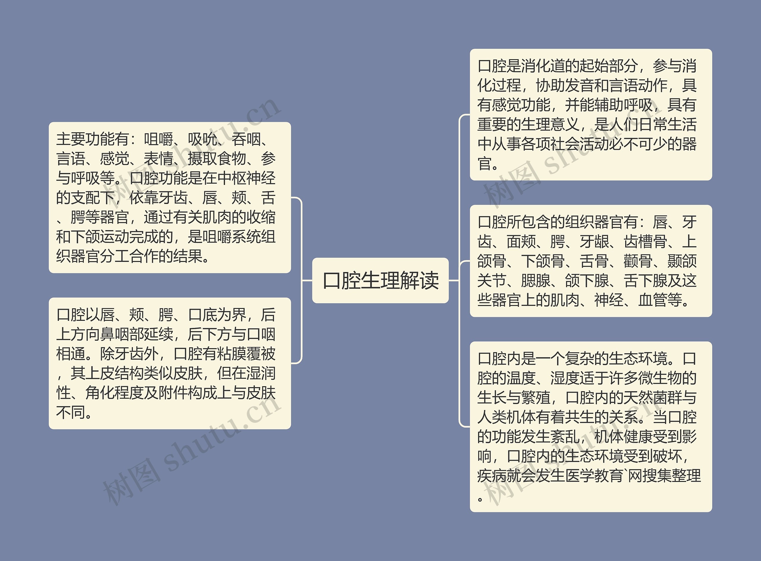 口腔生理解读思维导图