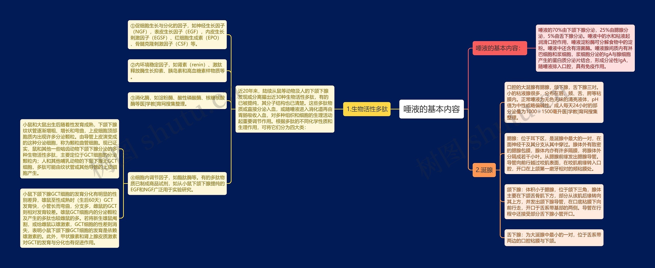 唾液的基本内容思维导图