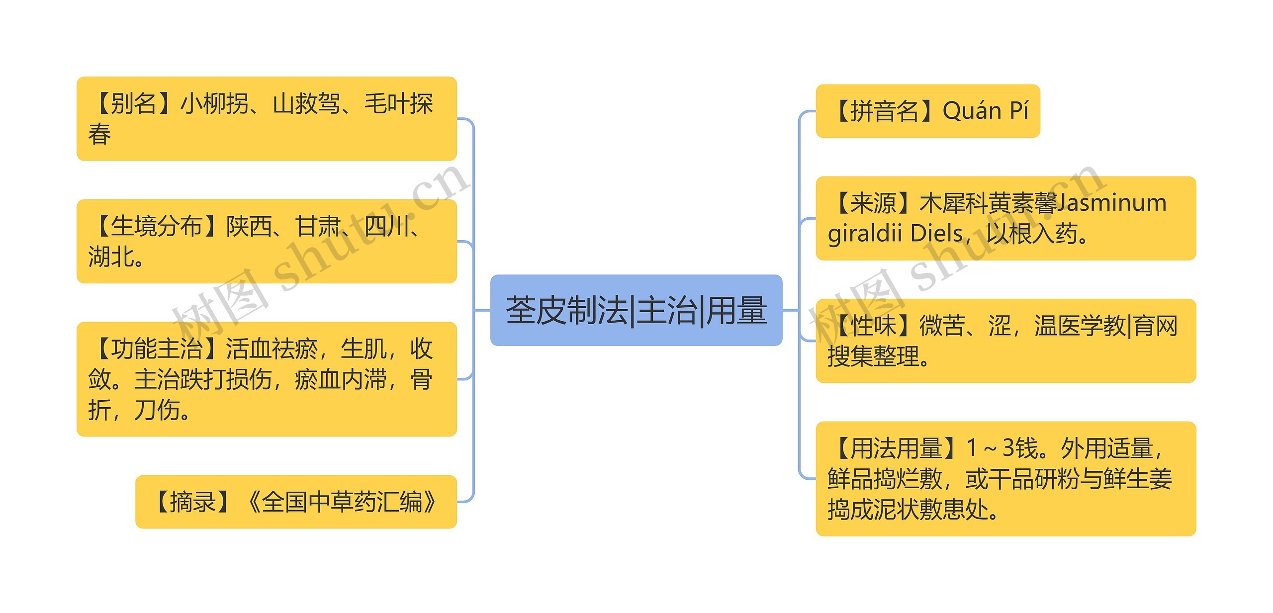 荃皮制法|主治|用量思维导图