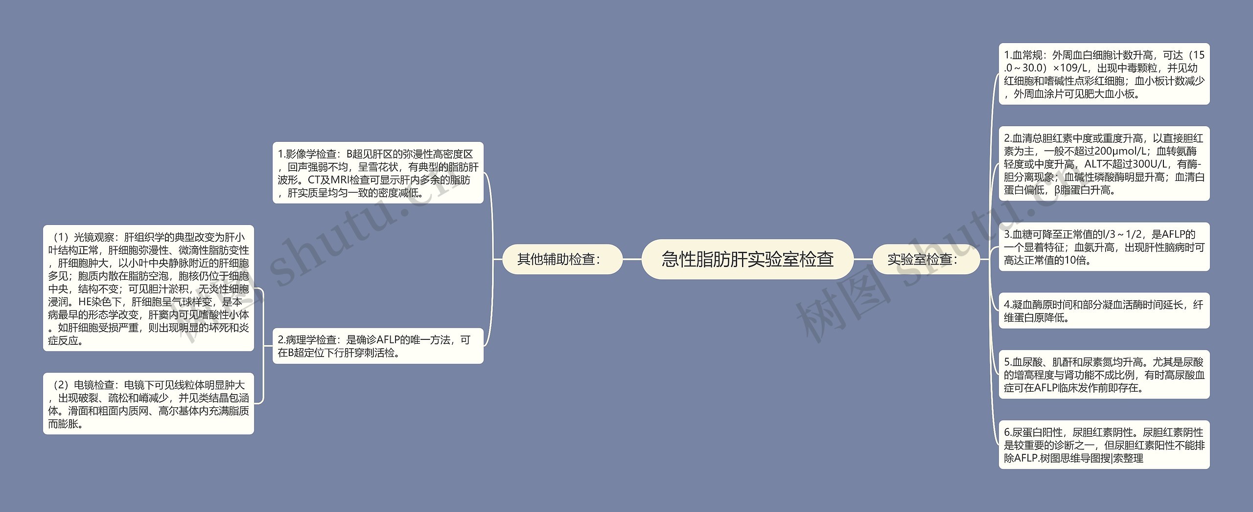 急性脂肪肝实验室检查思维导图