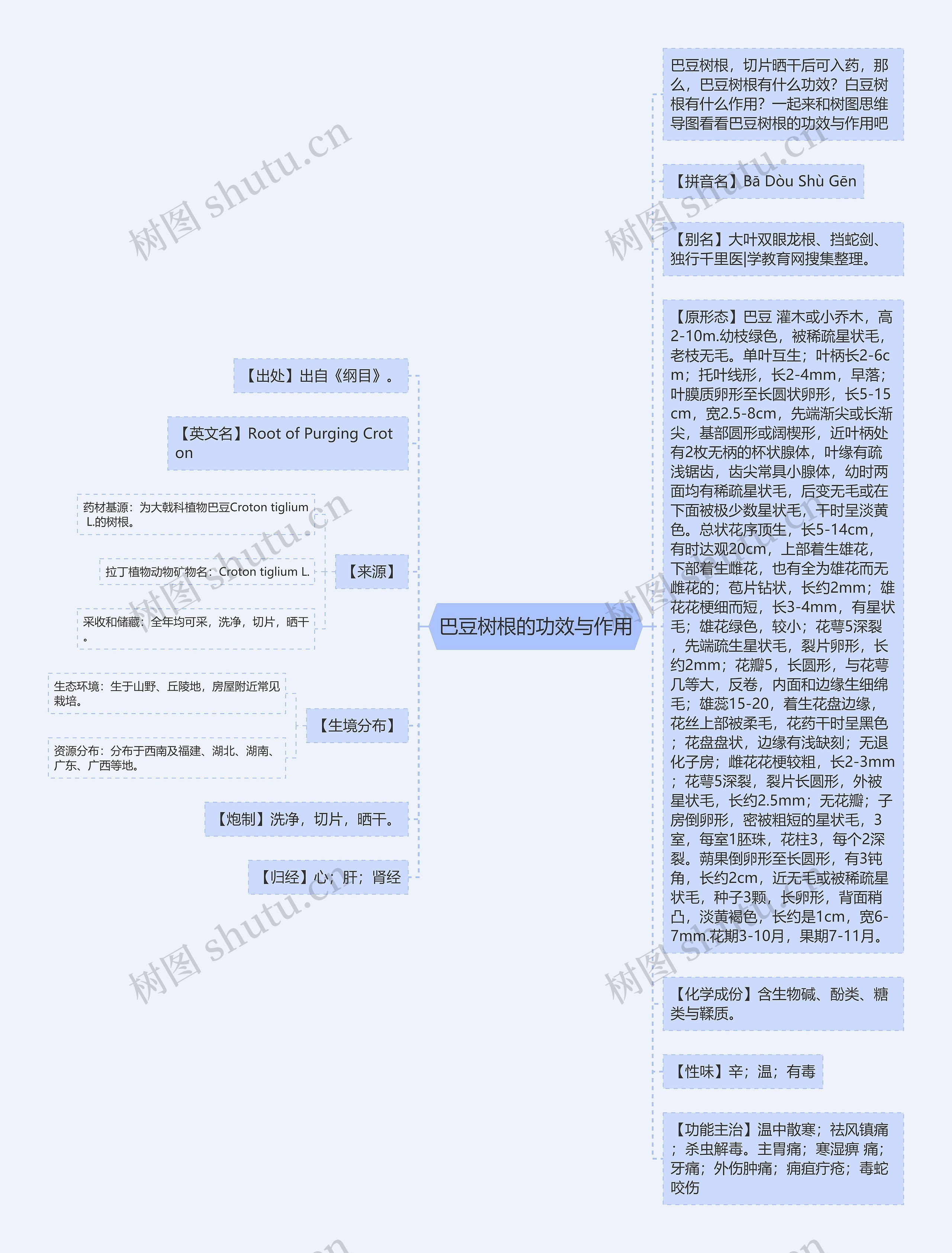 巴豆树根的功效与作用思维导图