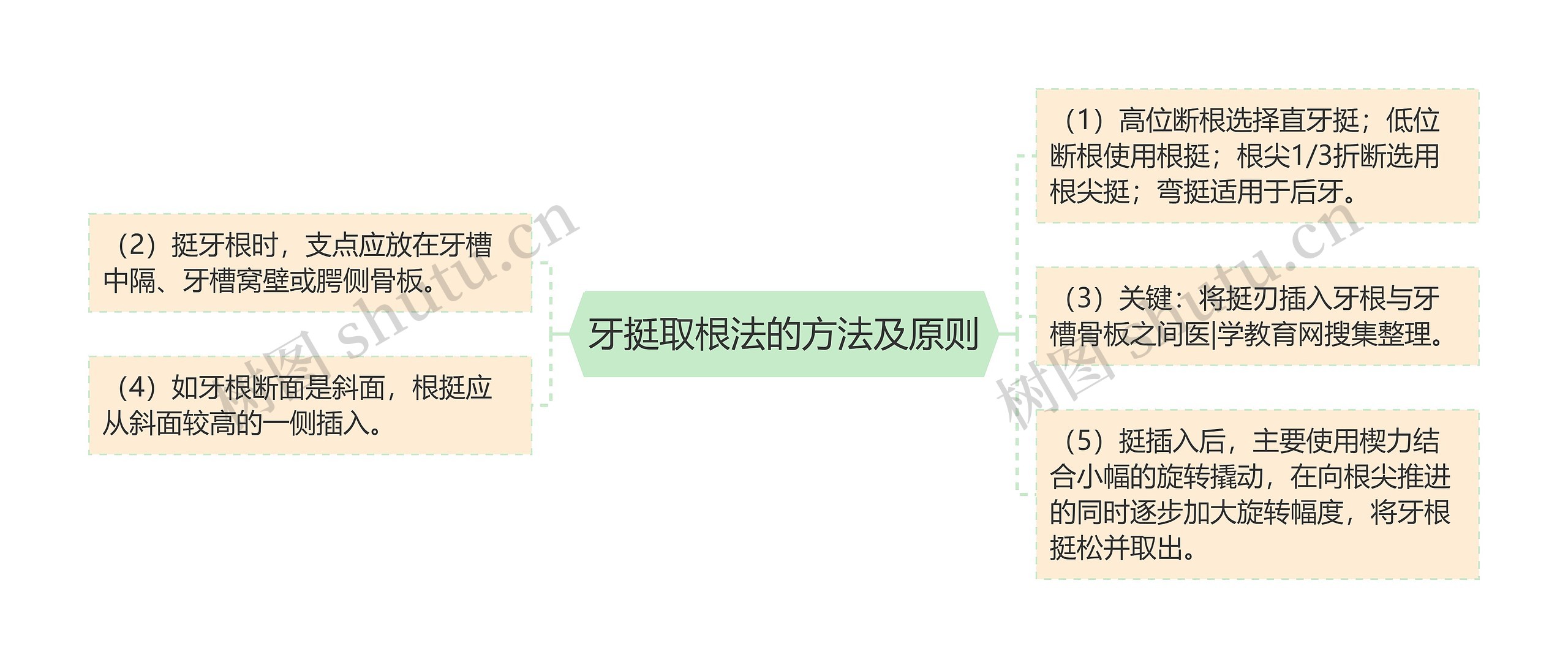 牙挺取根法的方法及原则