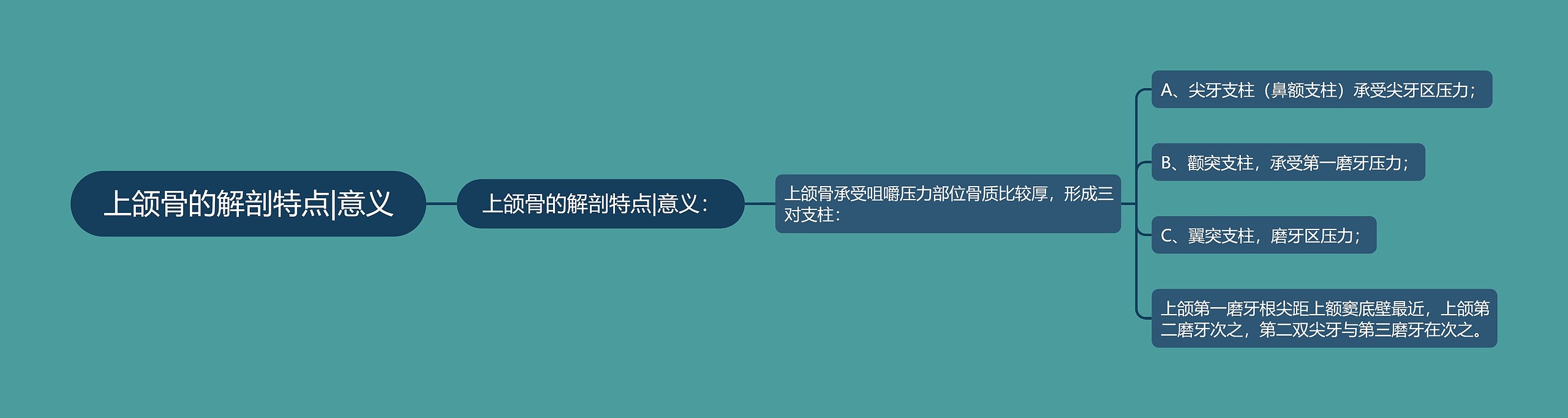 上颌骨的解剖特点|意义 上颌骨的解剖特点|意义