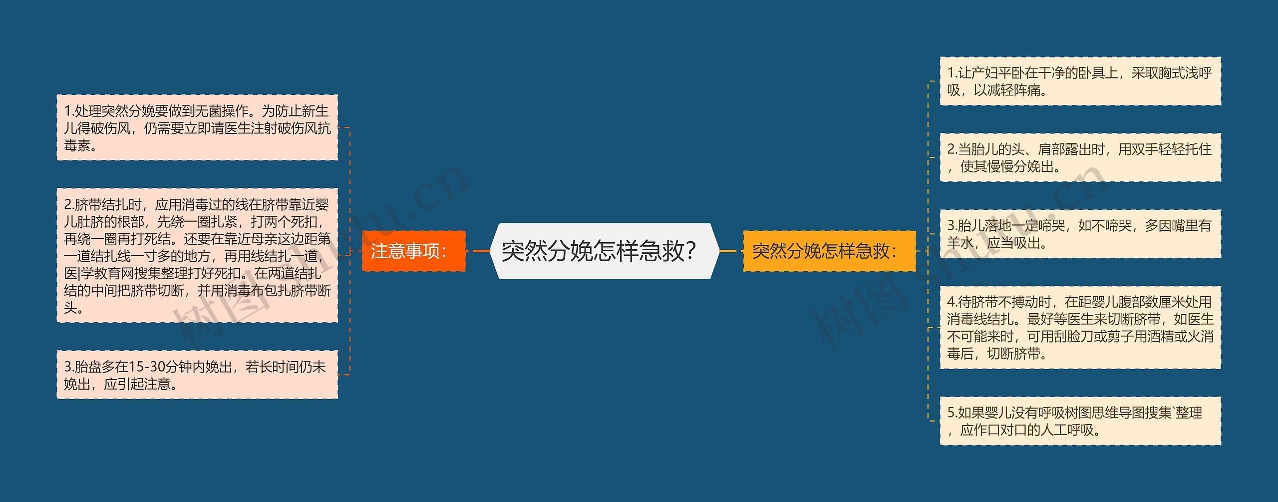 突然分娩怎样急救？思维导图