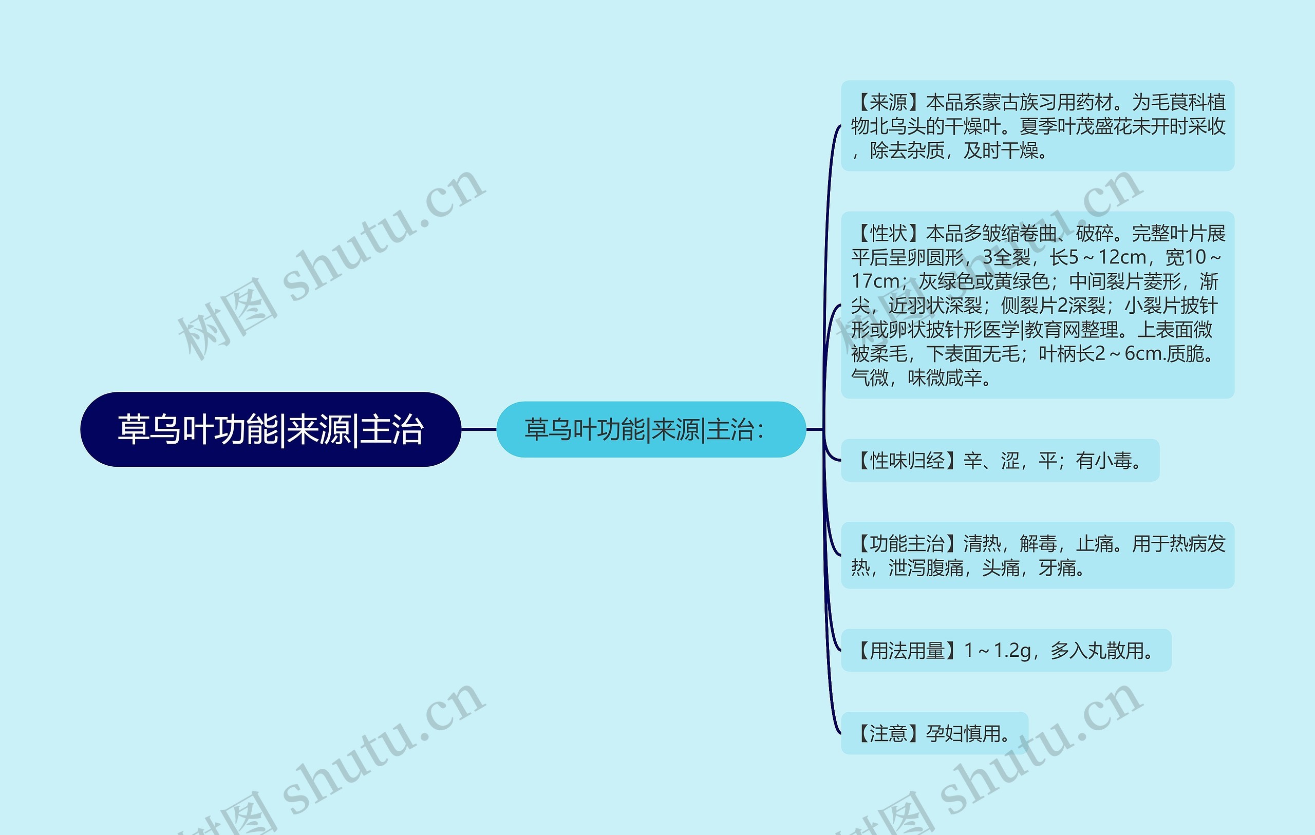 草乌叶功能|来源|主治