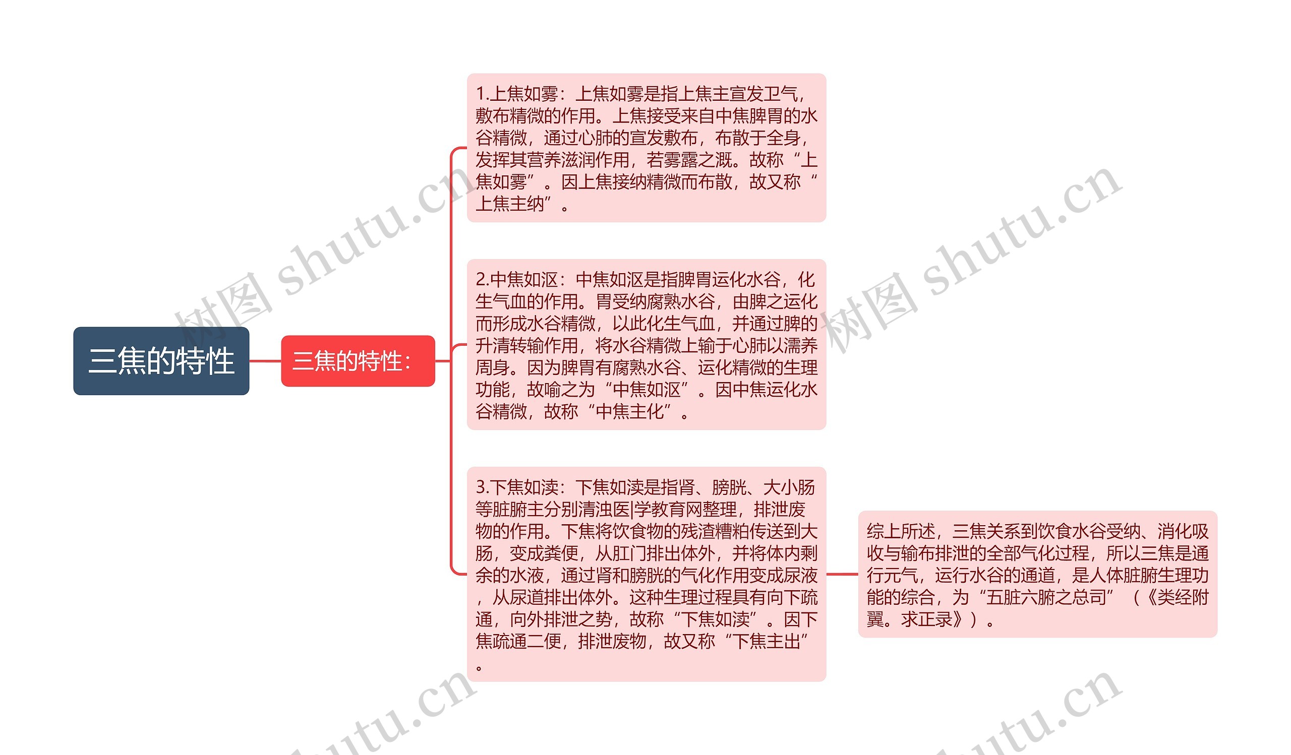 三焦的特性