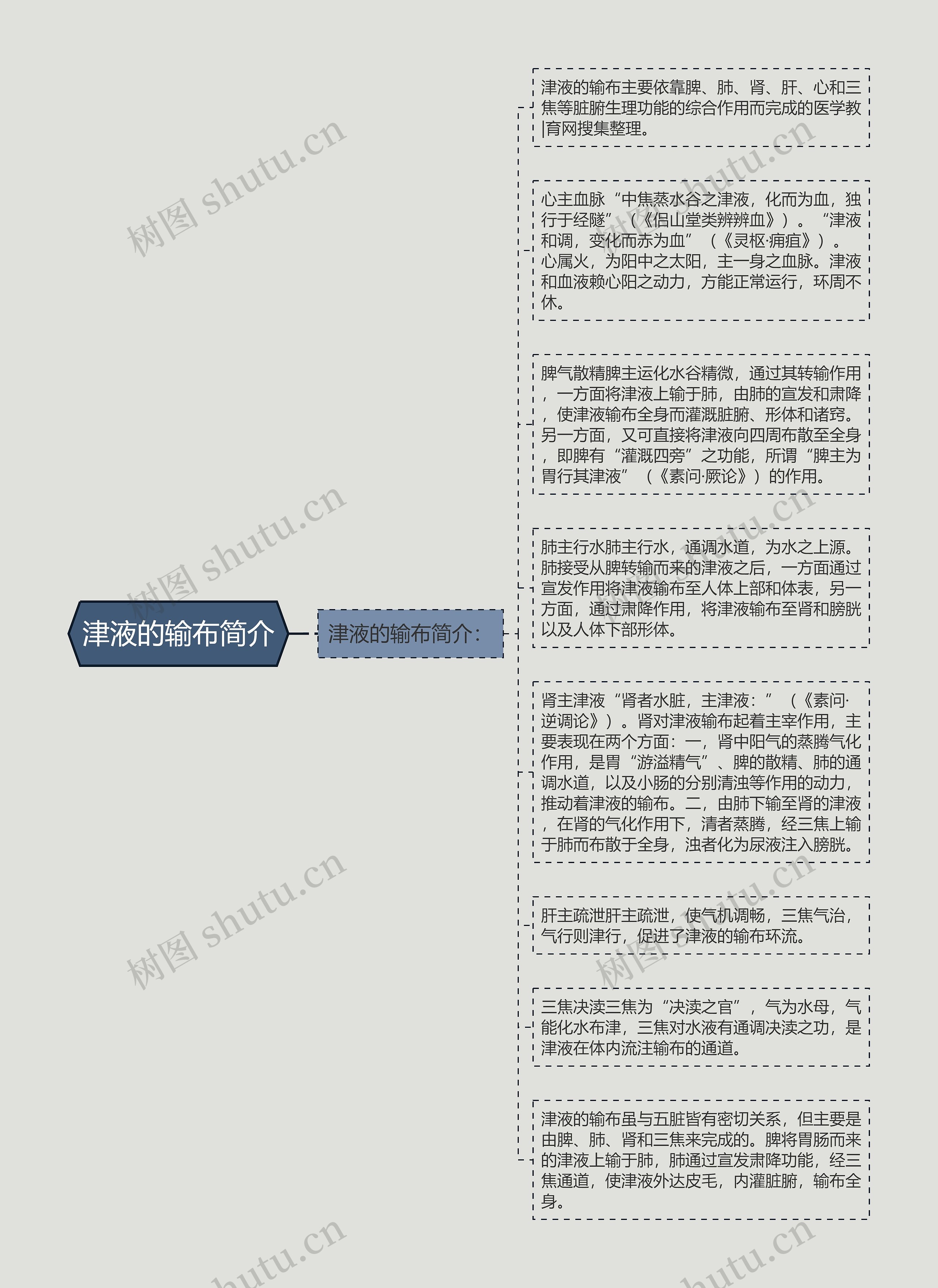 津液的输布简介思维导图