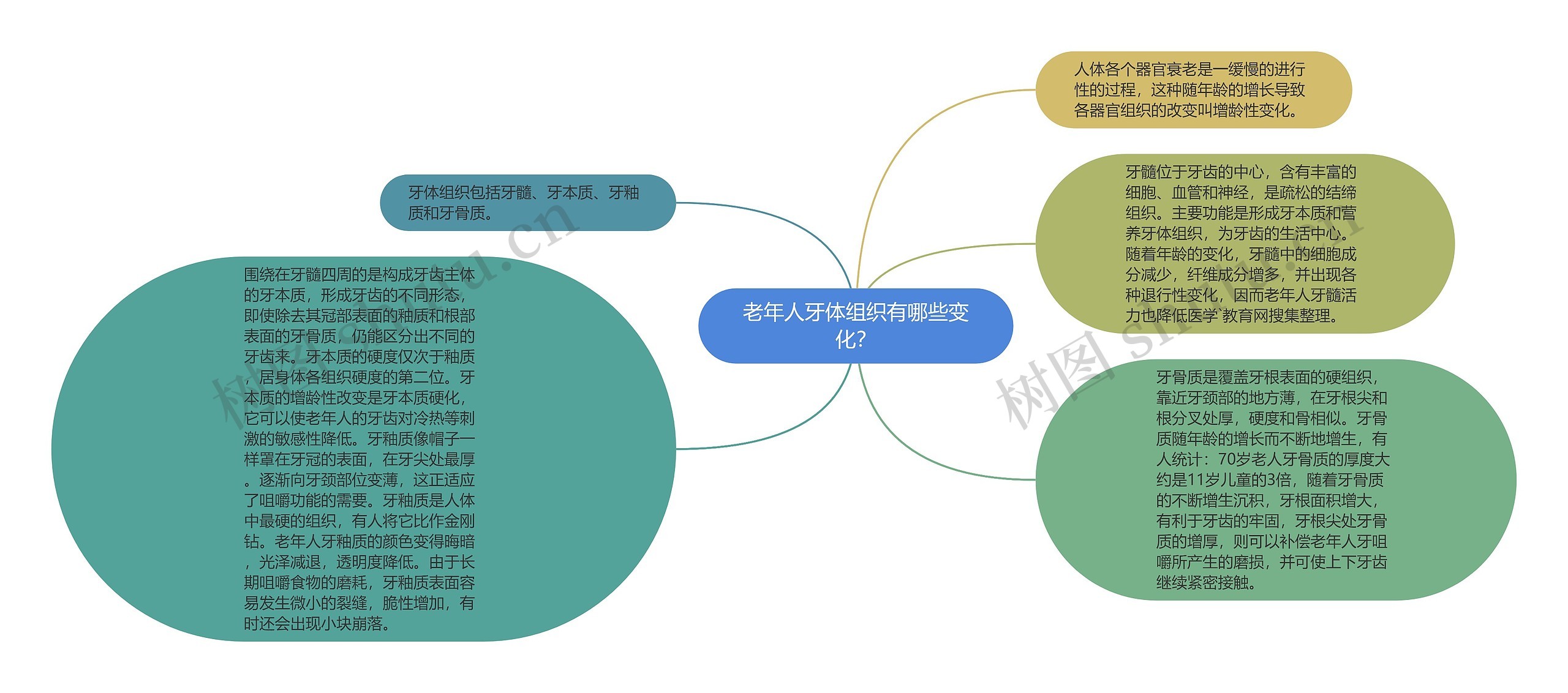 老年人牙体组织有哪些变化？