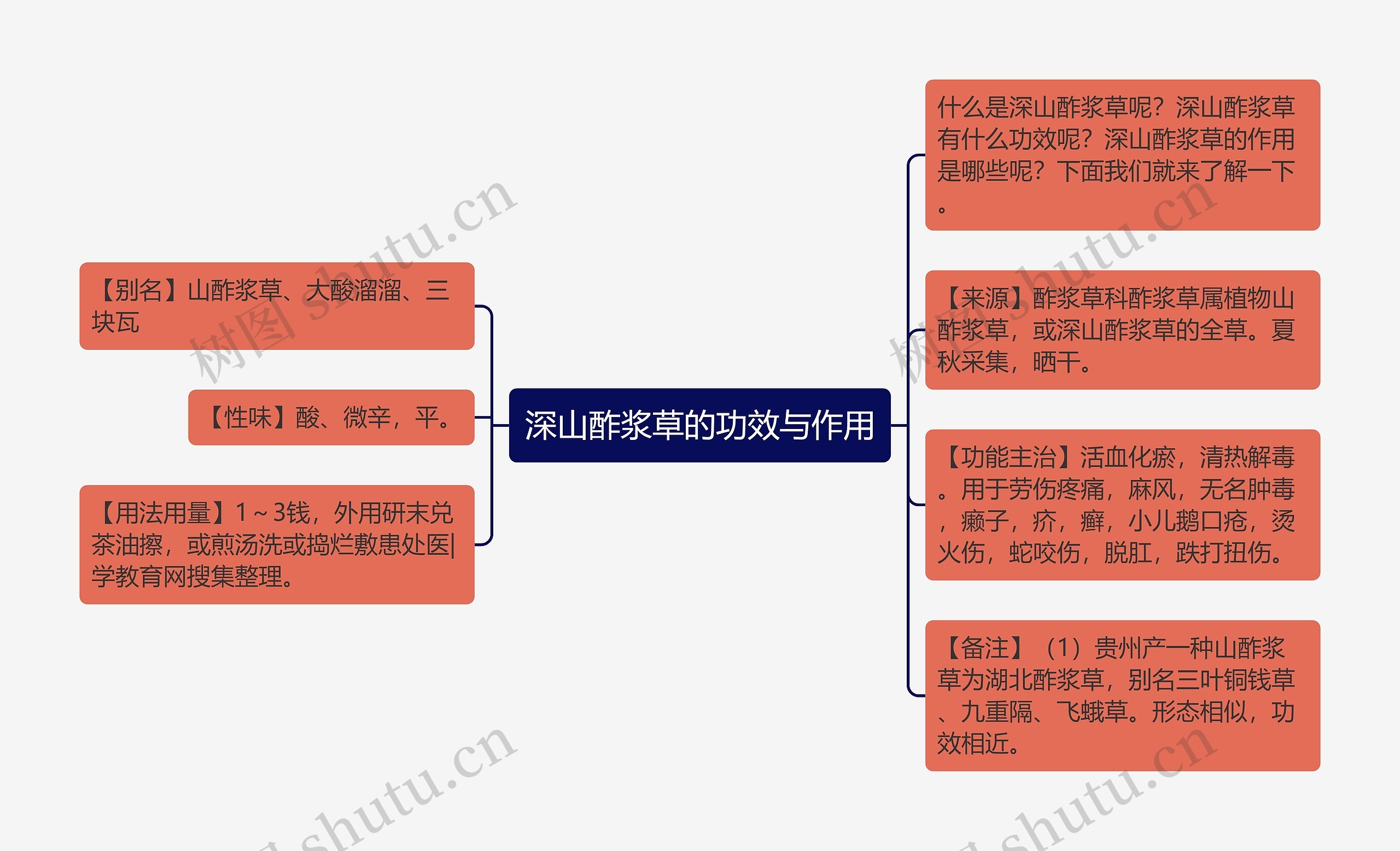 深山酢浆草的功效与作用思维导图