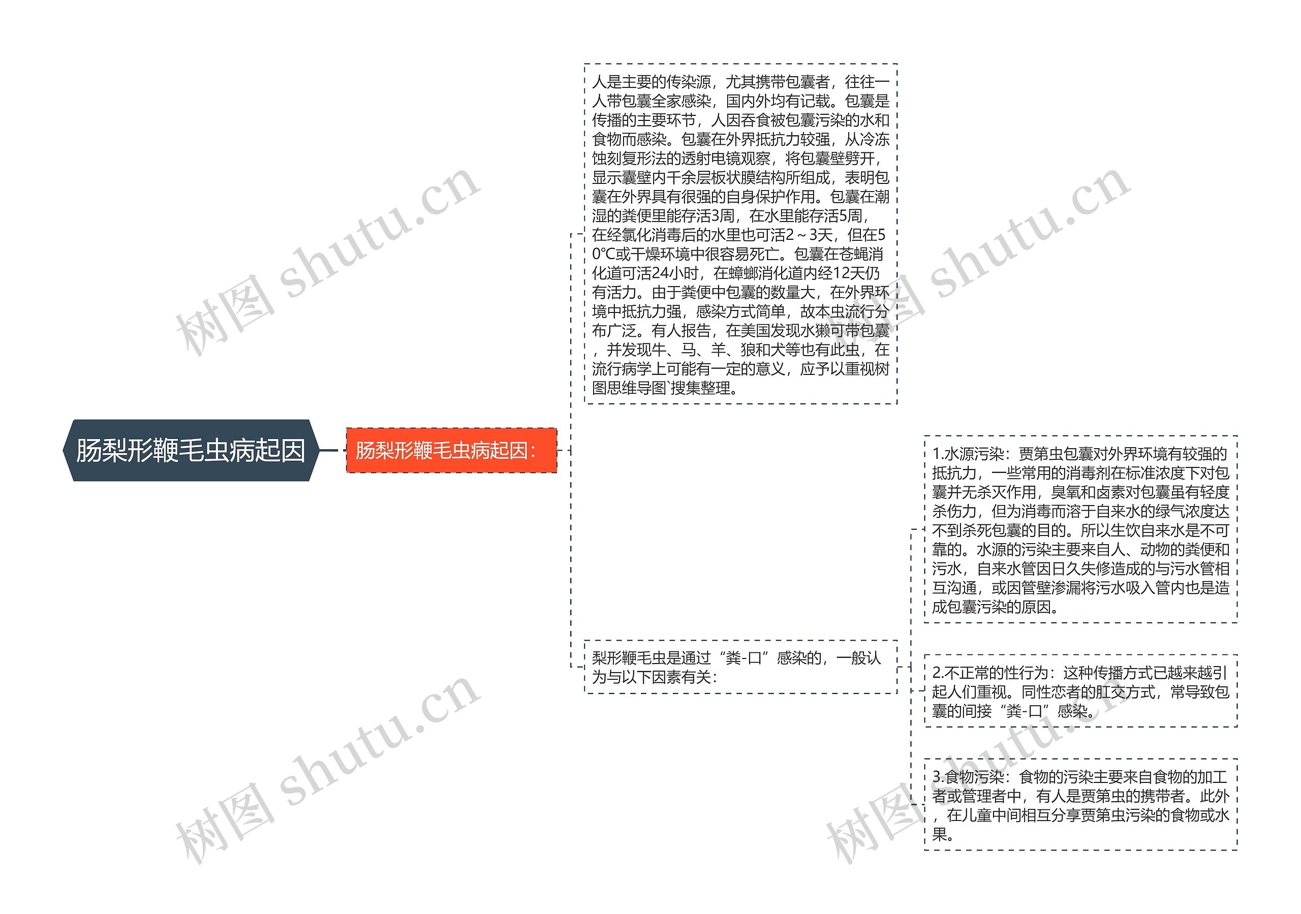 肠梨形鞭毛虫病起因思维导图