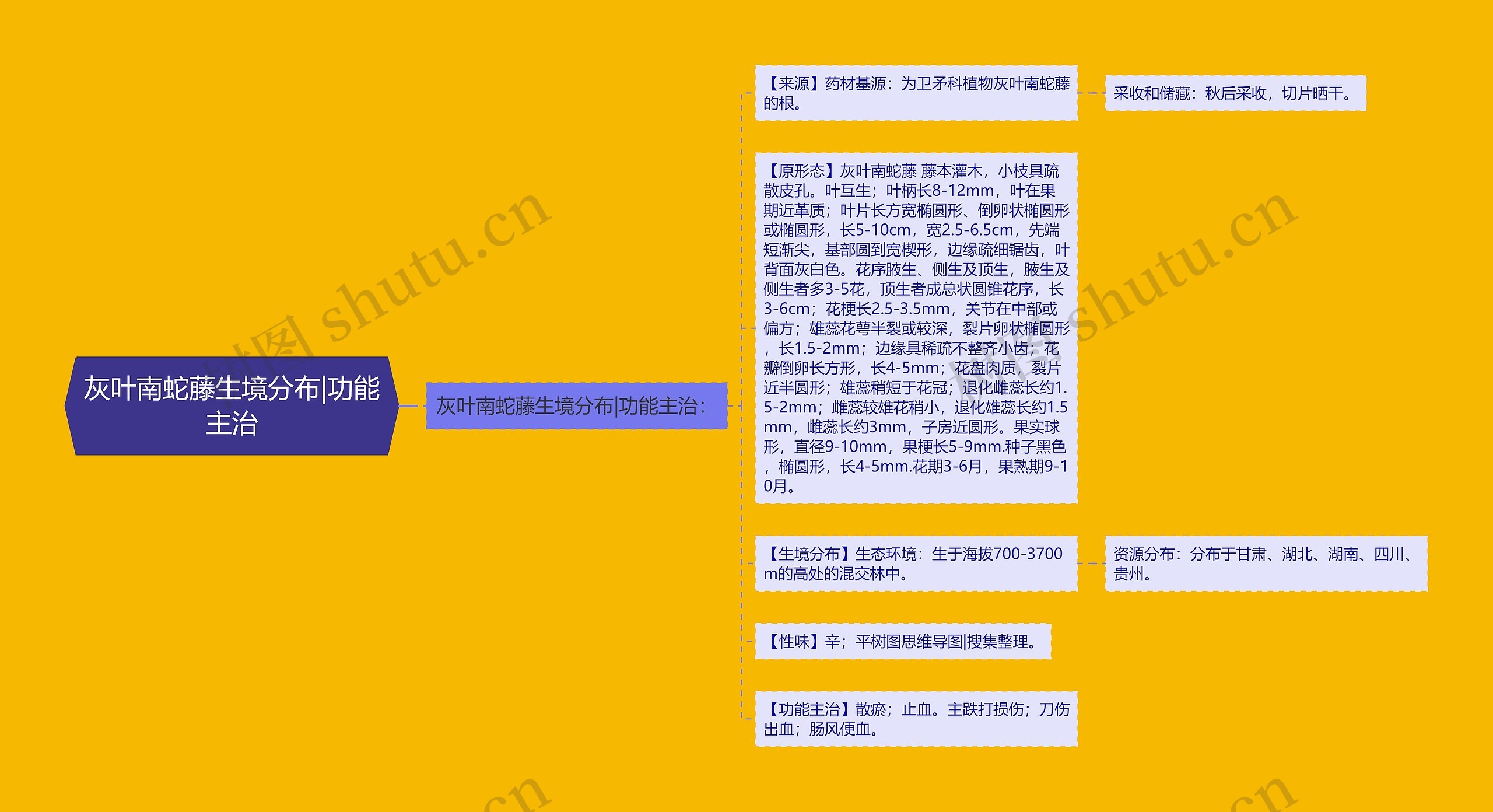 灰叶南蛇藤生境分布|功能主治