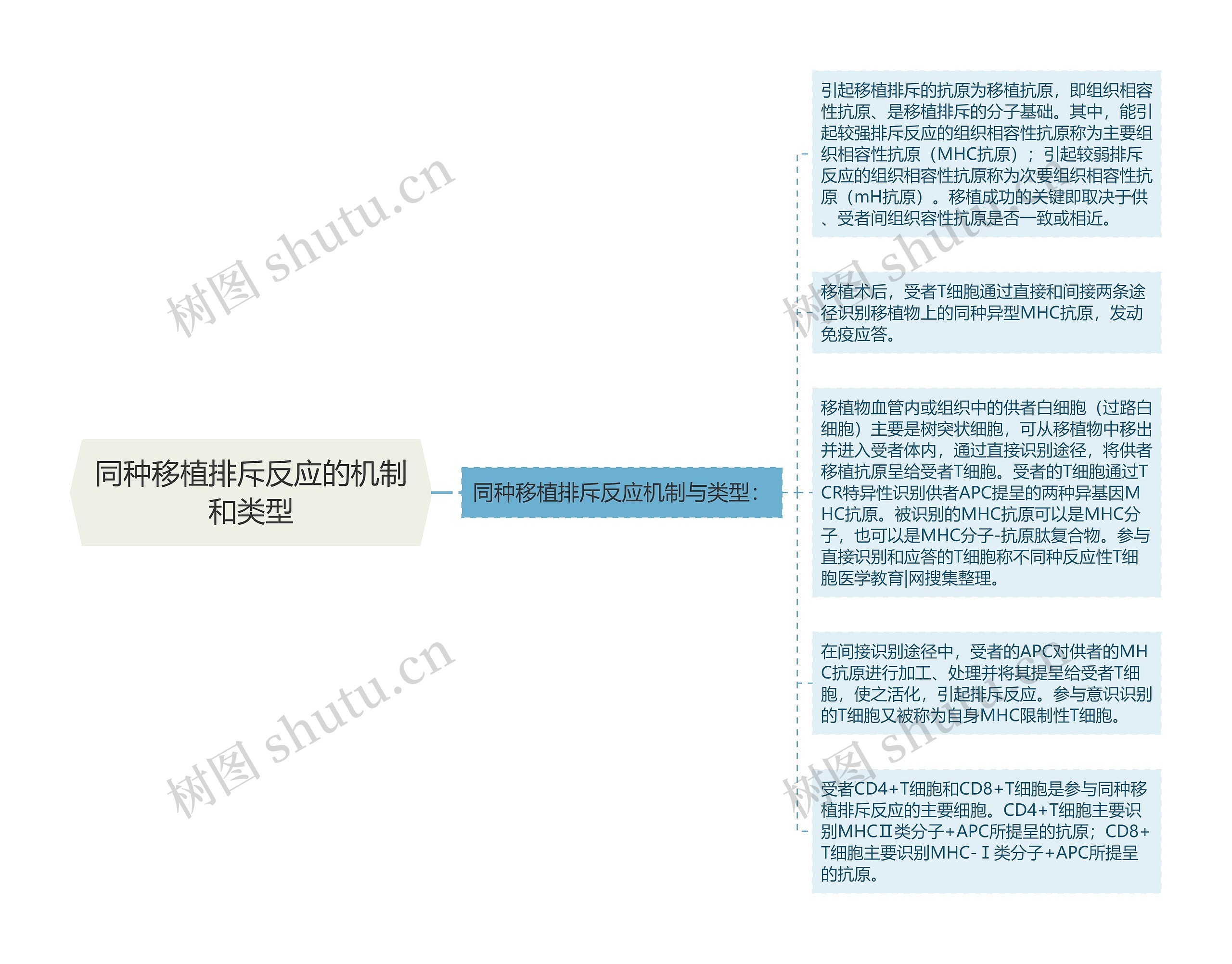 同种移植排斥反应的机制和类型思维导图