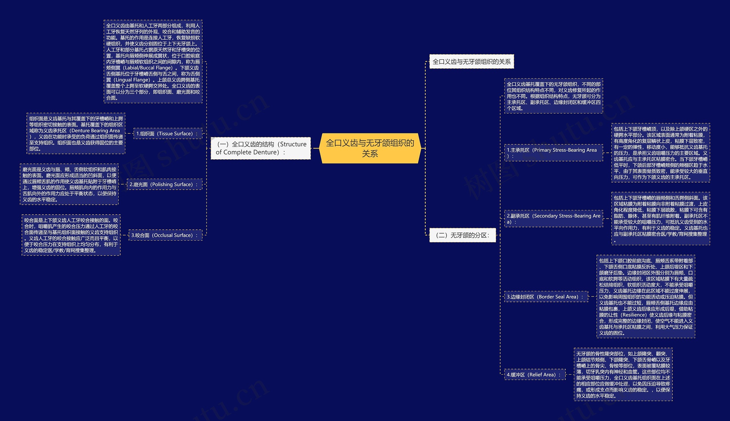全口义齿与无牙颌组织的关系 全口义齿与无牙颌组织的关系