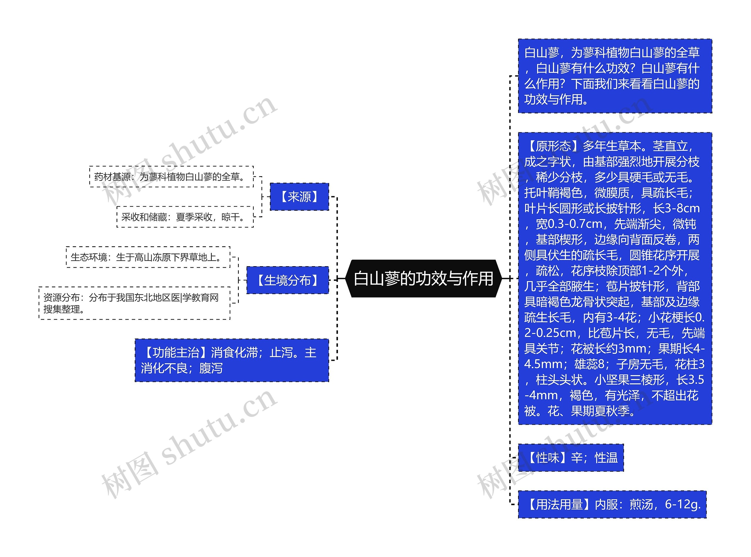 白山蓼的功效与作用思维导图